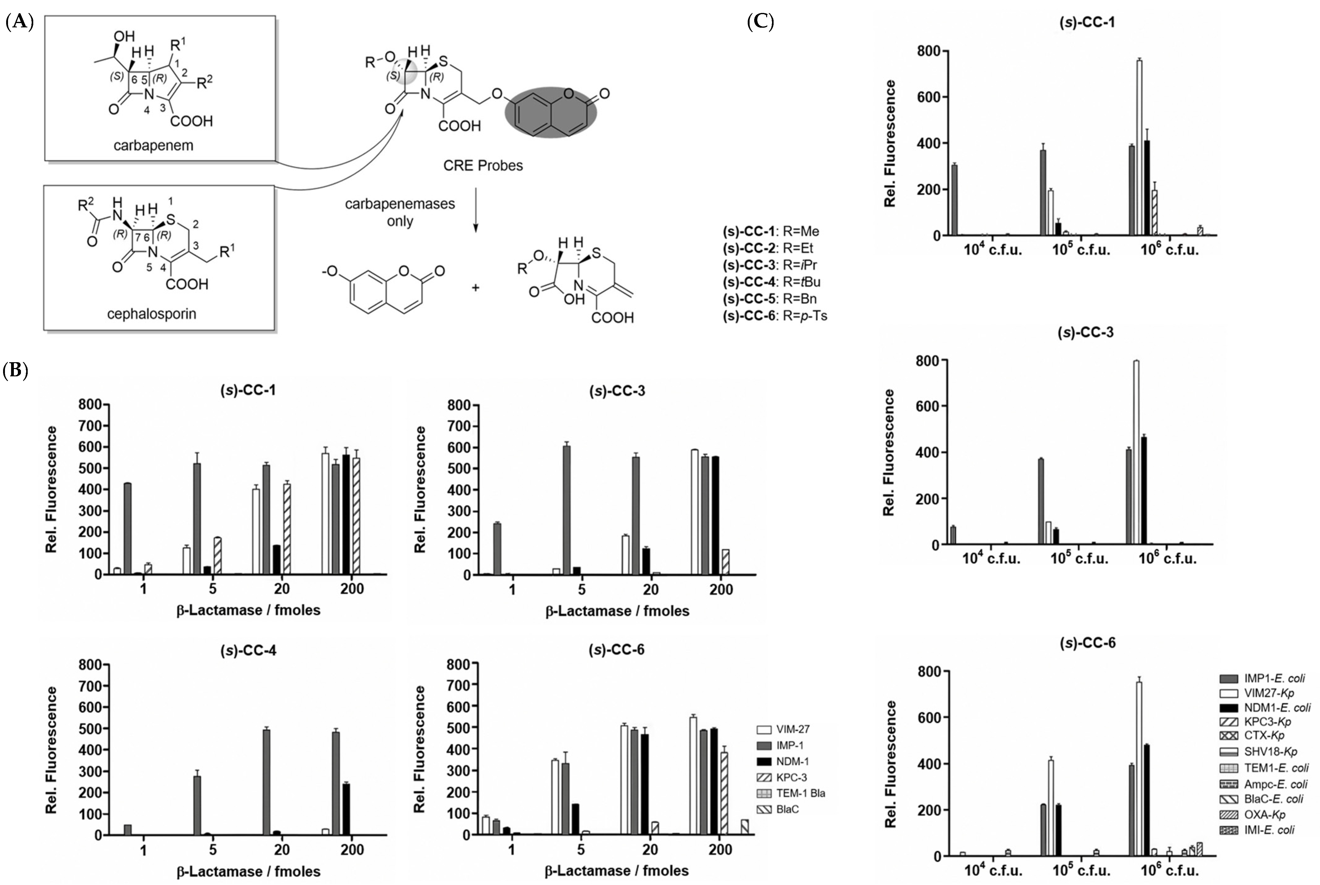 Pharmaceutics 17 00282 g004