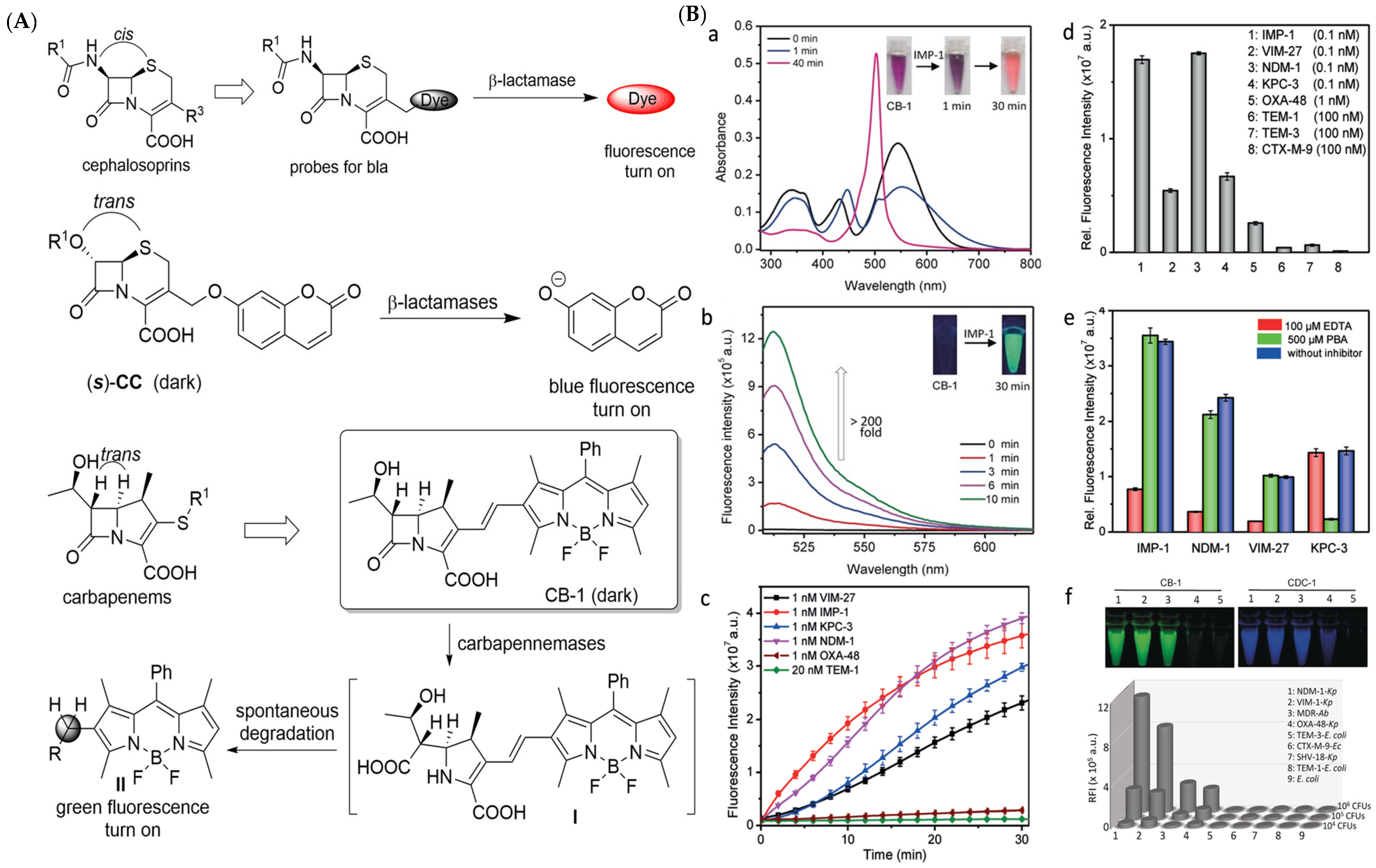 Pharmaceutics 17 00282 g005
