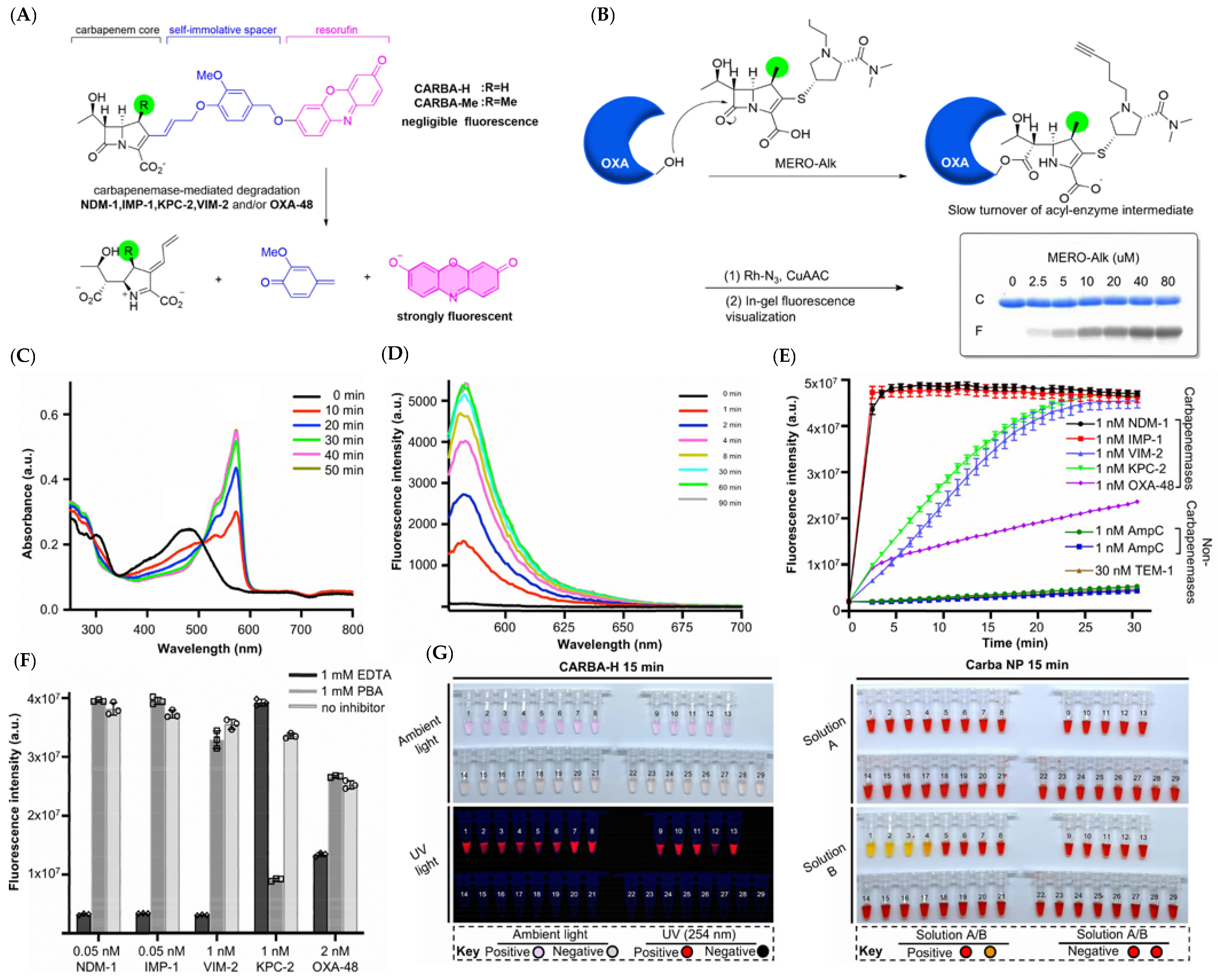 Pharmaceutics 17 00282 g008