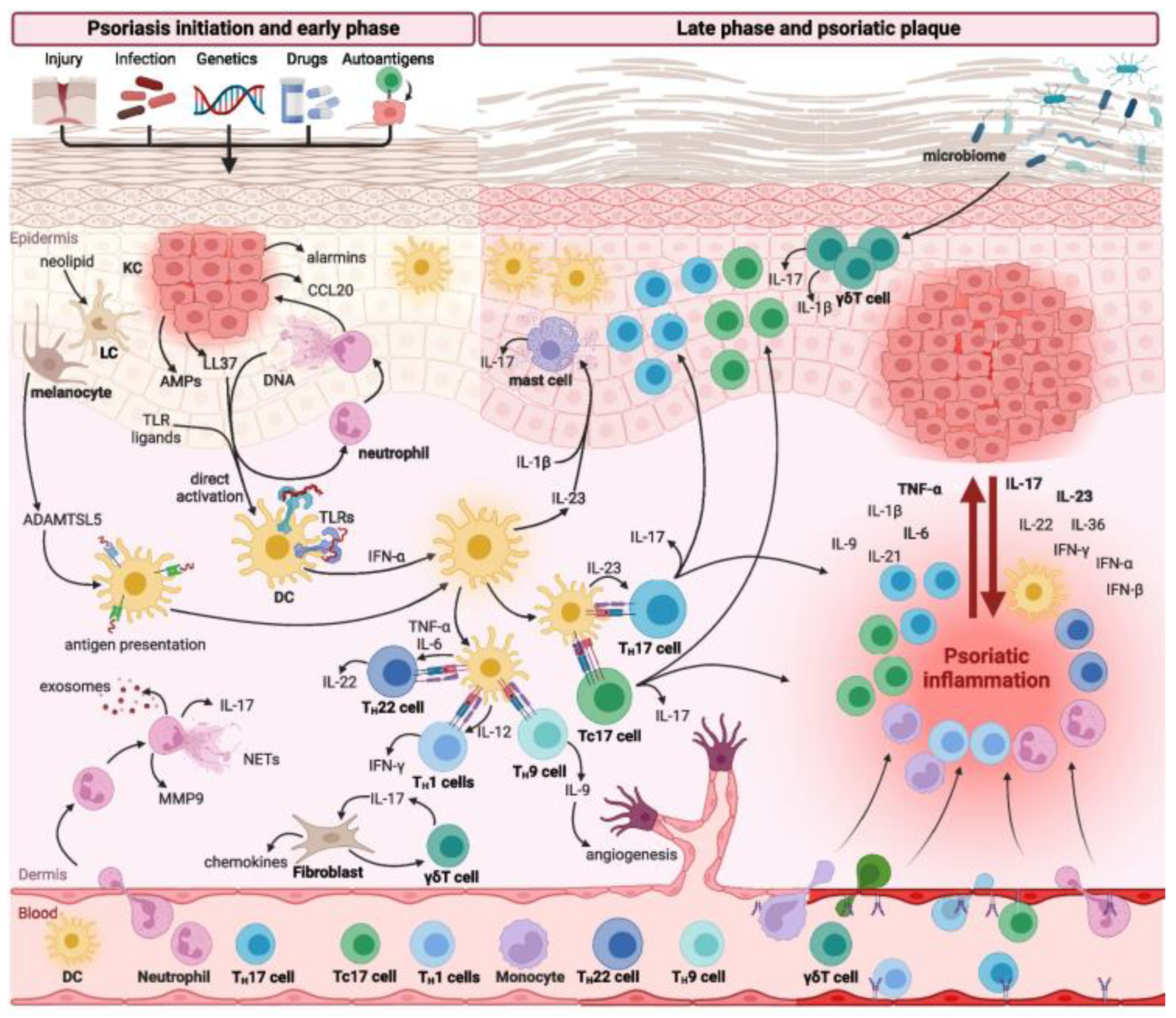 Pharmaceutics 17 00283 g001 Pharmaceutics 17 00283 g001