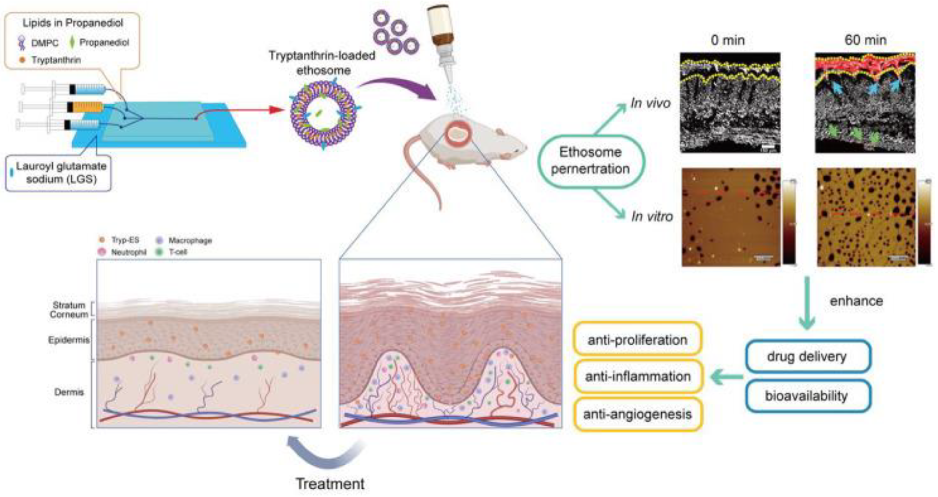 Pharmaceutics 17 00283 g003 Pharmaceutics 17 00283 g003