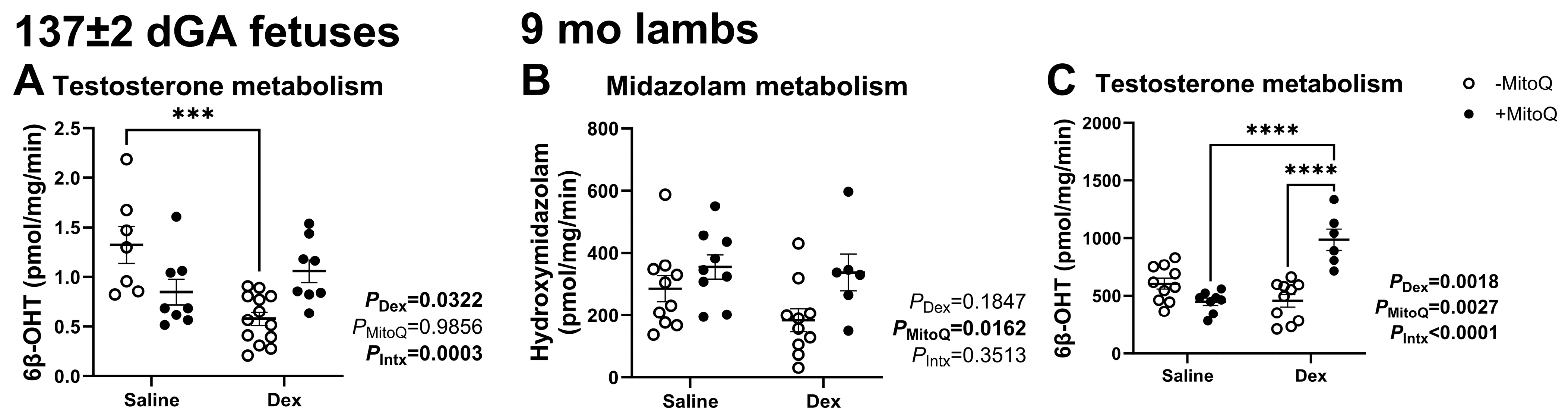 Pharmaceutics 17 00285 g001