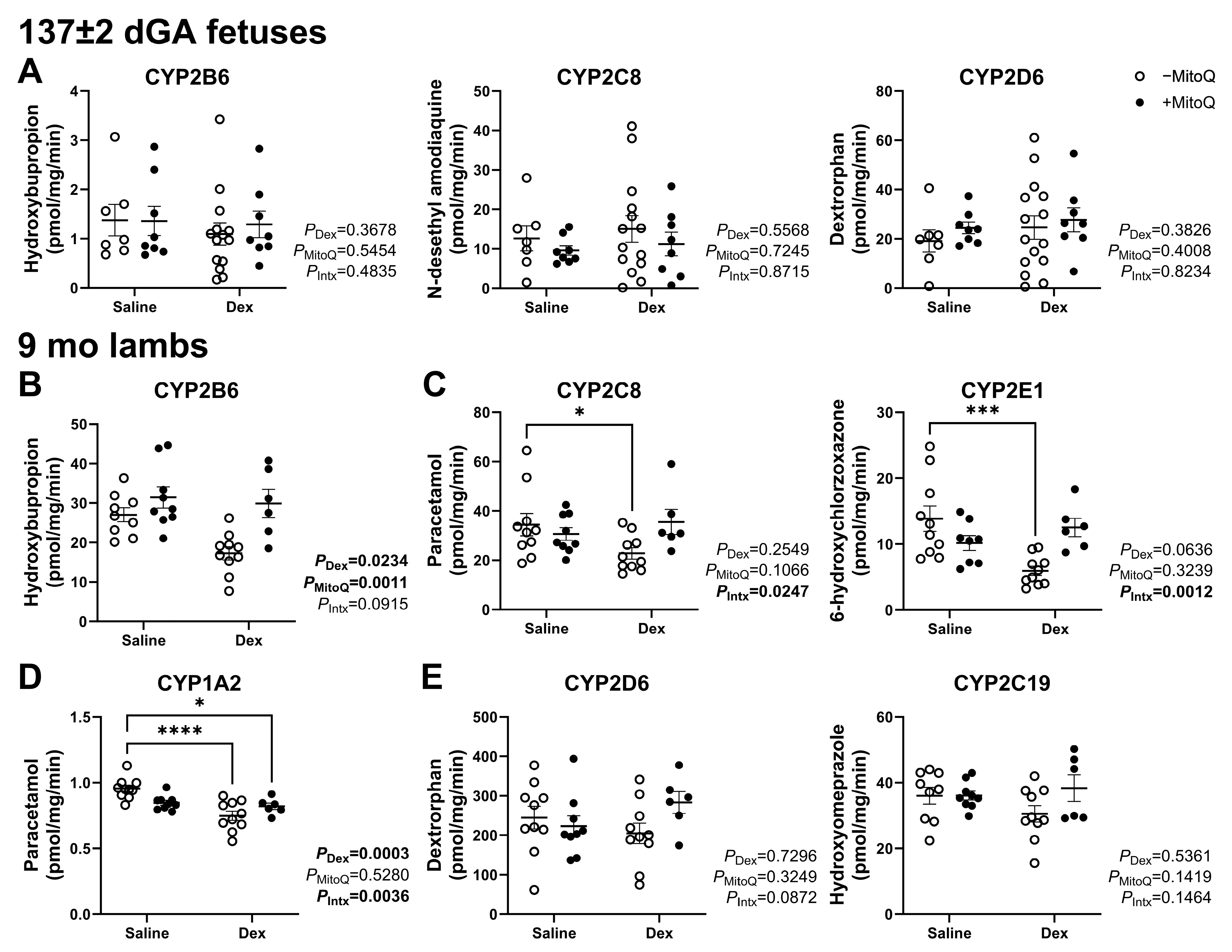 Pharmaceutics 17 00285 g002