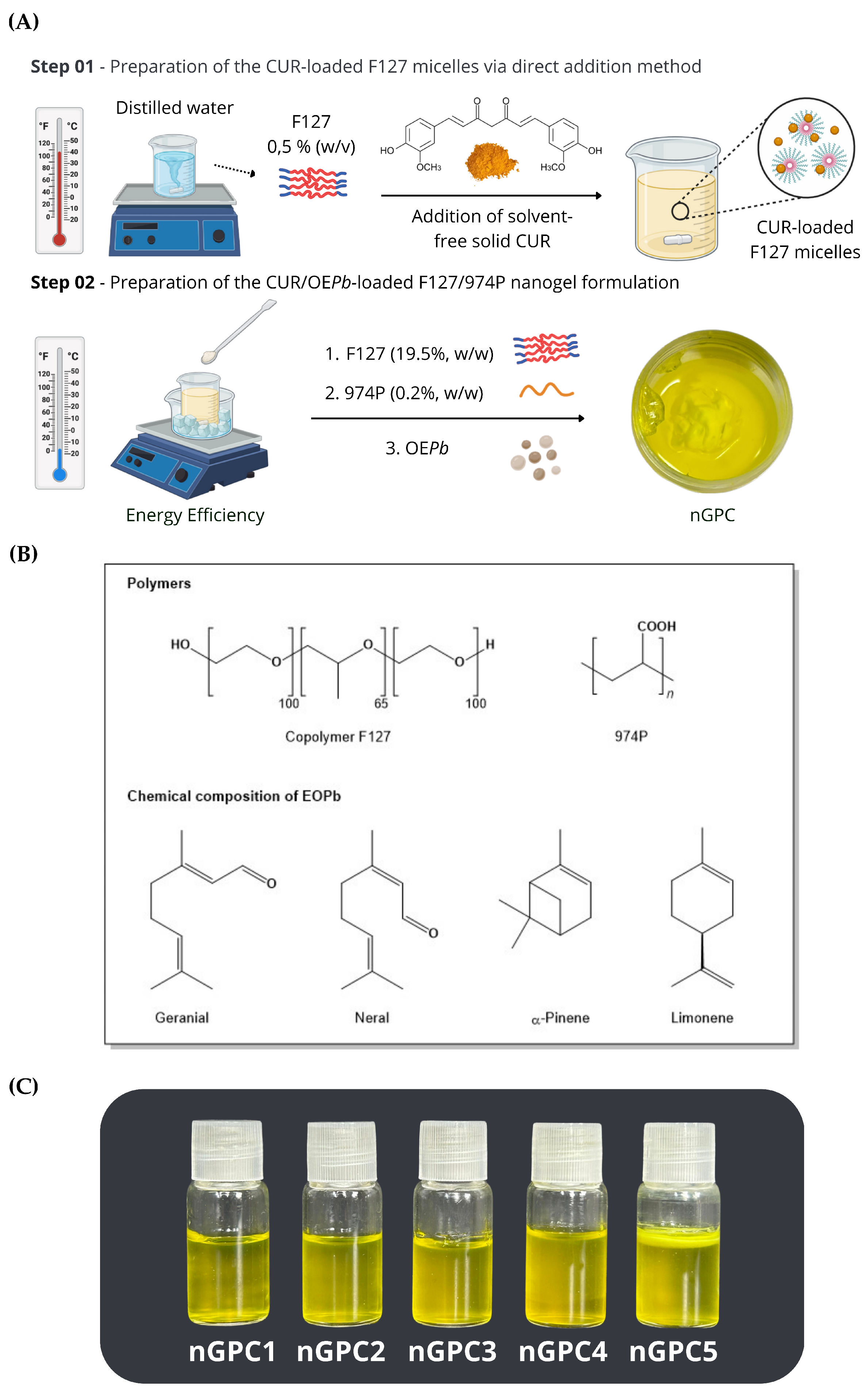 Pharmaceutics 17 00286 g001 Pharmaceutics 17 00286 g001