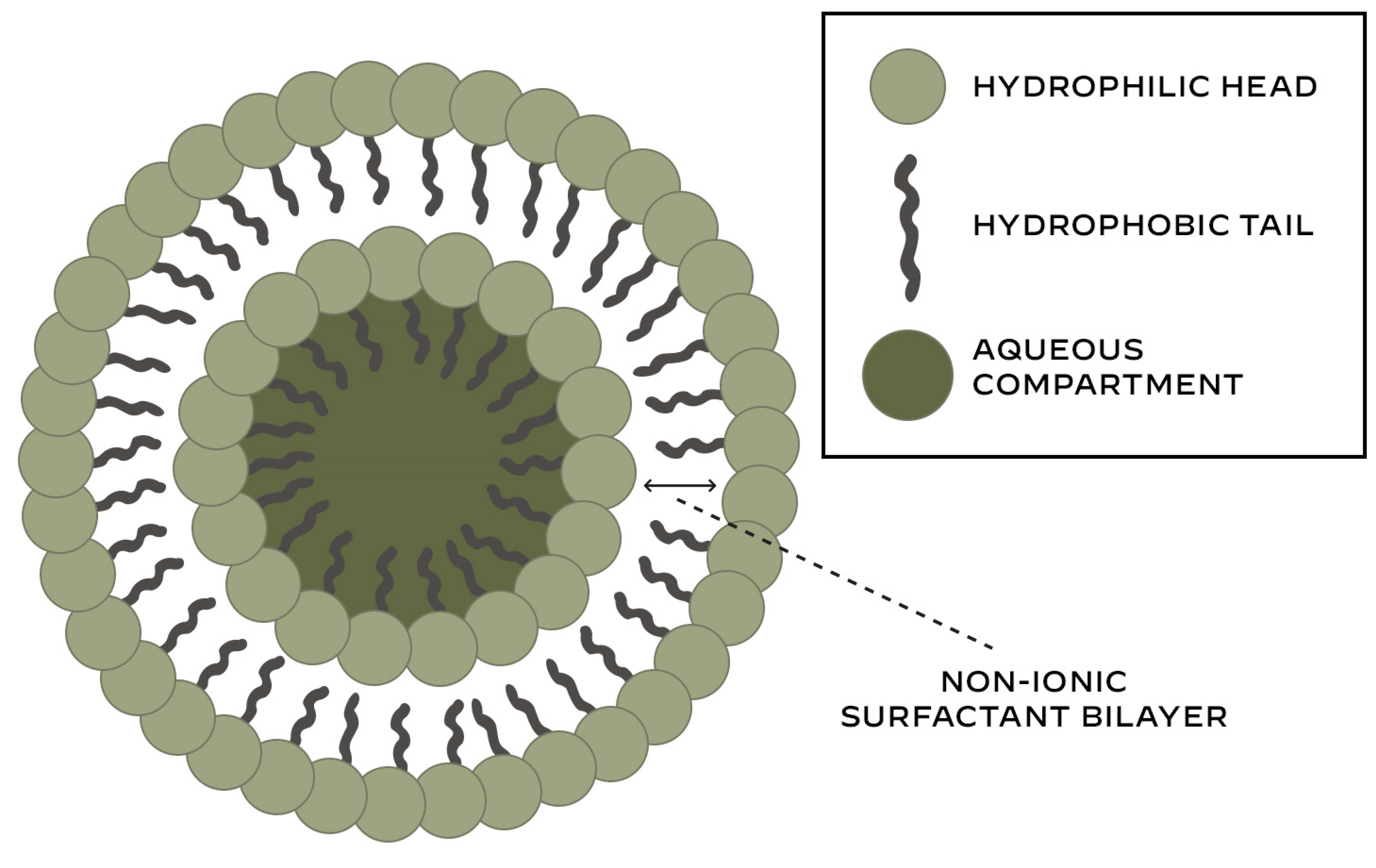 Pharmaceutics 17 00287 g001