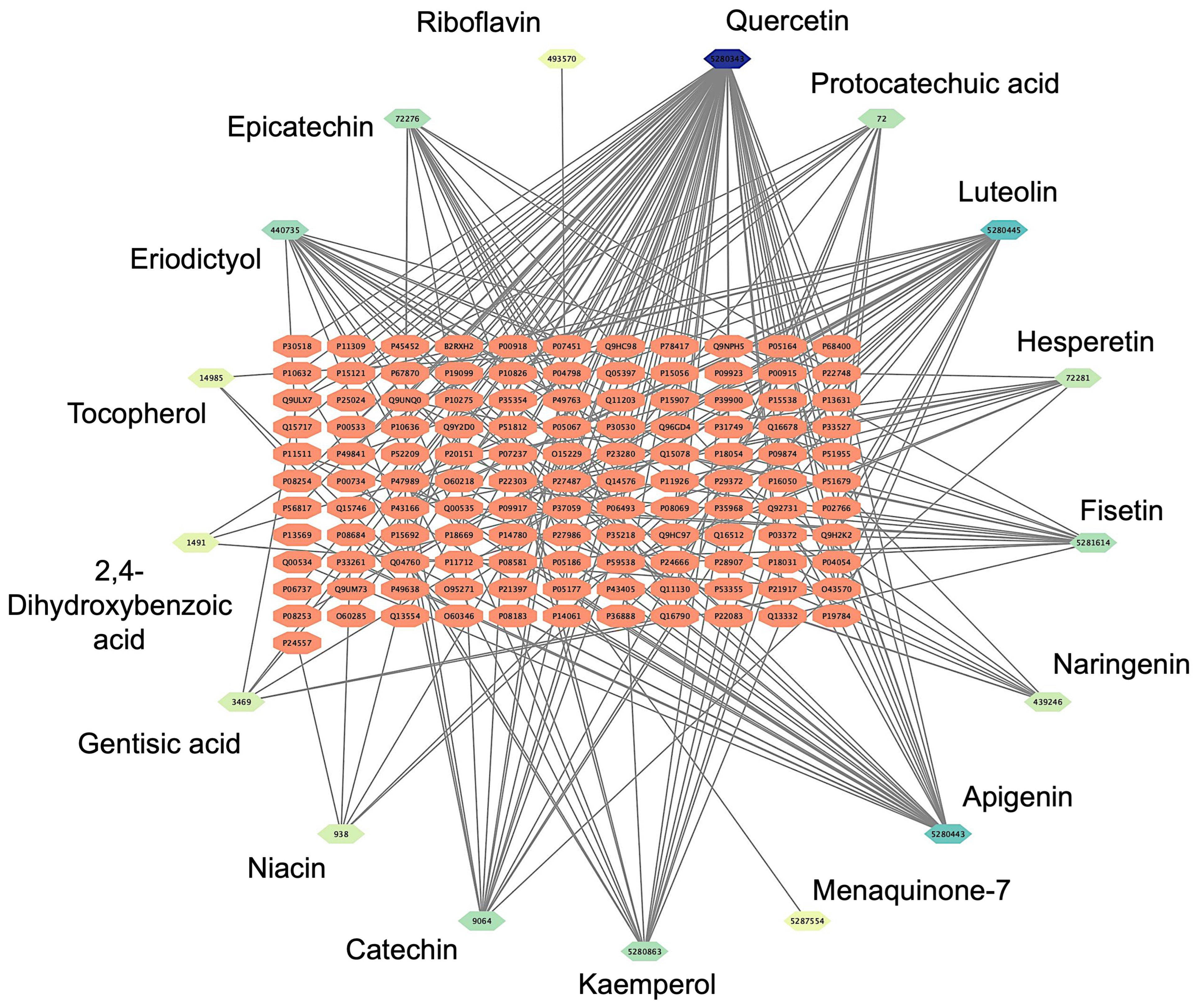 Pharmaceutics 17 00295 g001