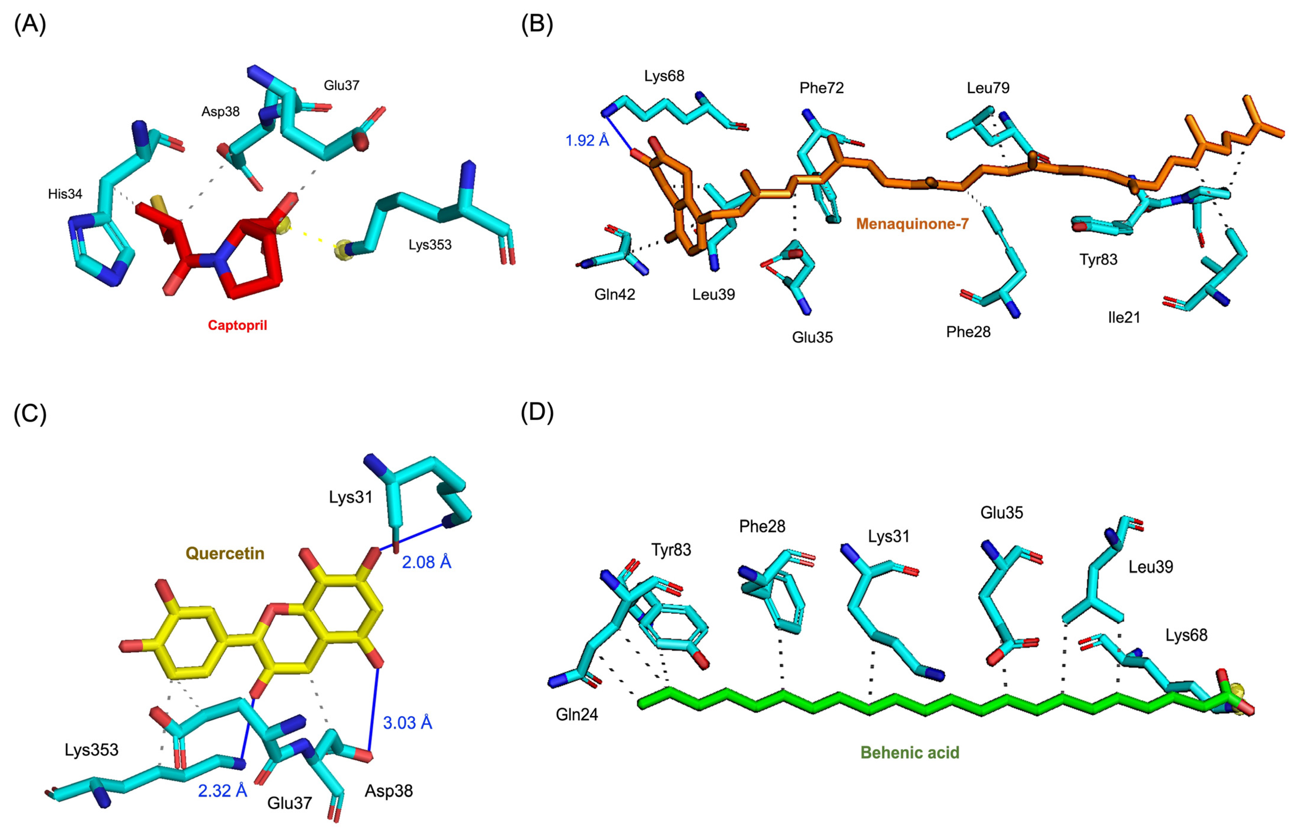 Pharmaceutics 17 00295 g003