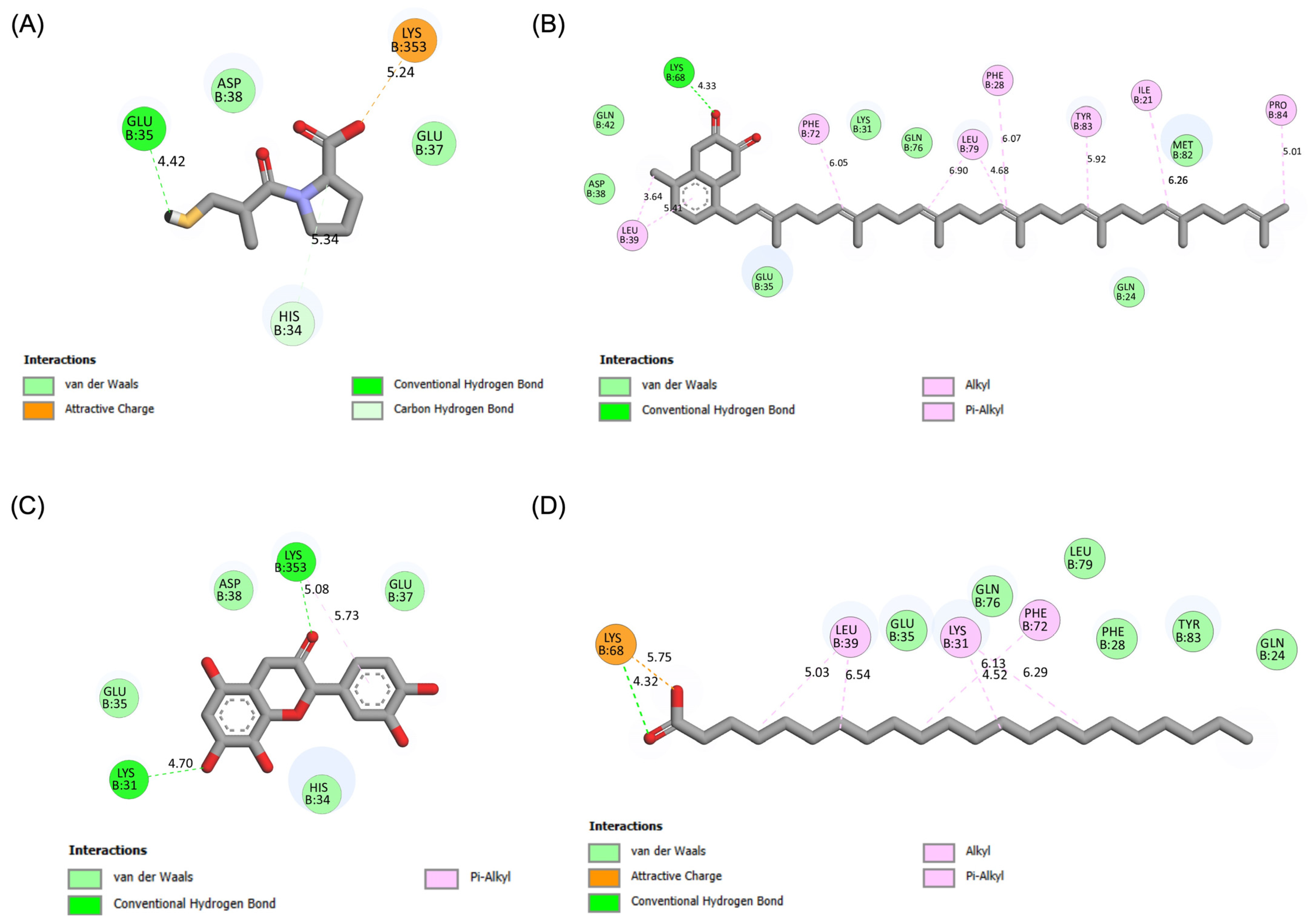 Pharmaceutics 17 00295 g004