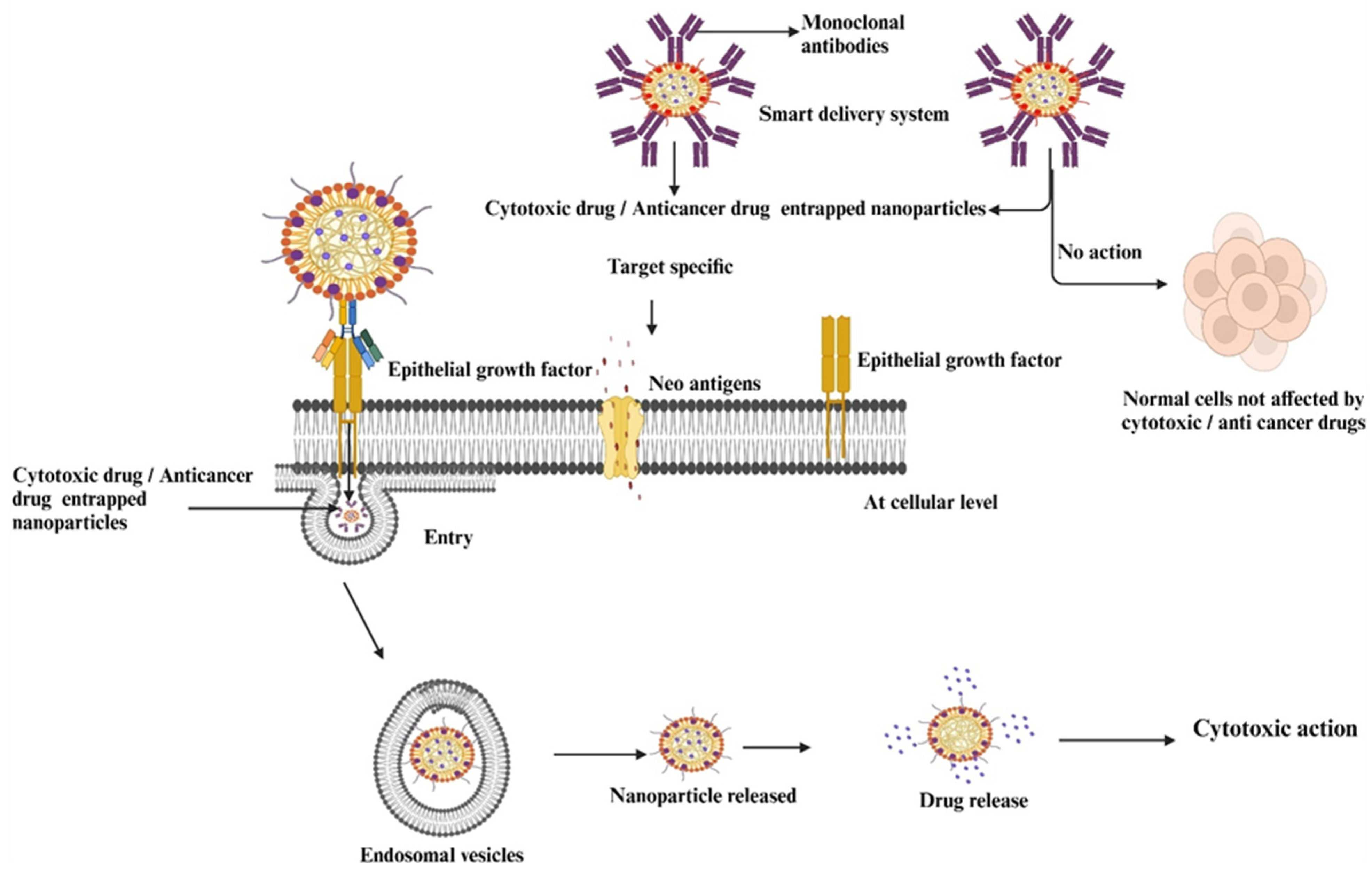 Pharmaceutics 17 00296 g002