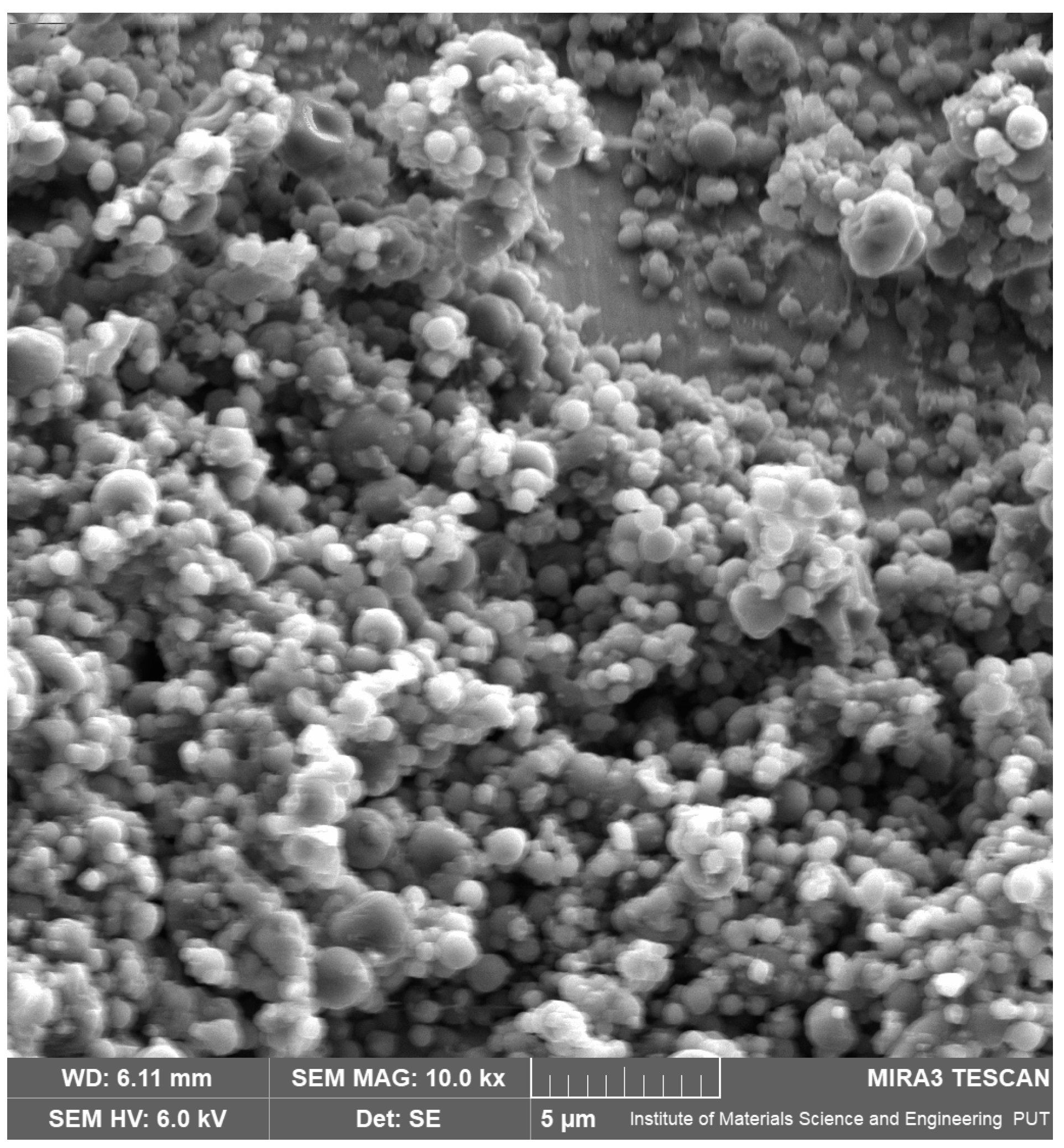 Pharmaceutics 17 00304 g001 Pharmaceutics 17 00304 g001