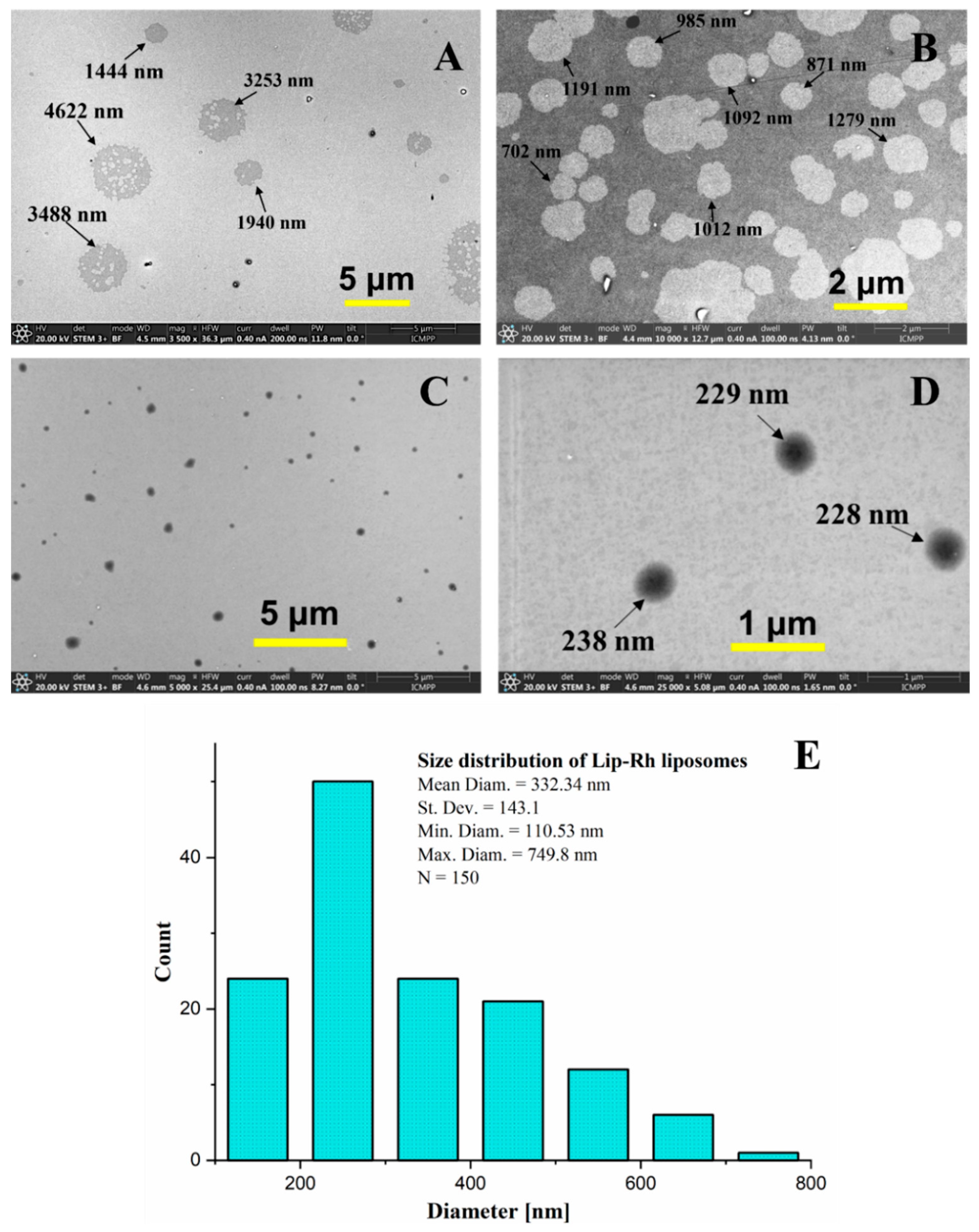 Pharmaceutics 17 00307 g004 Pharmaceutics 17 00307 g004