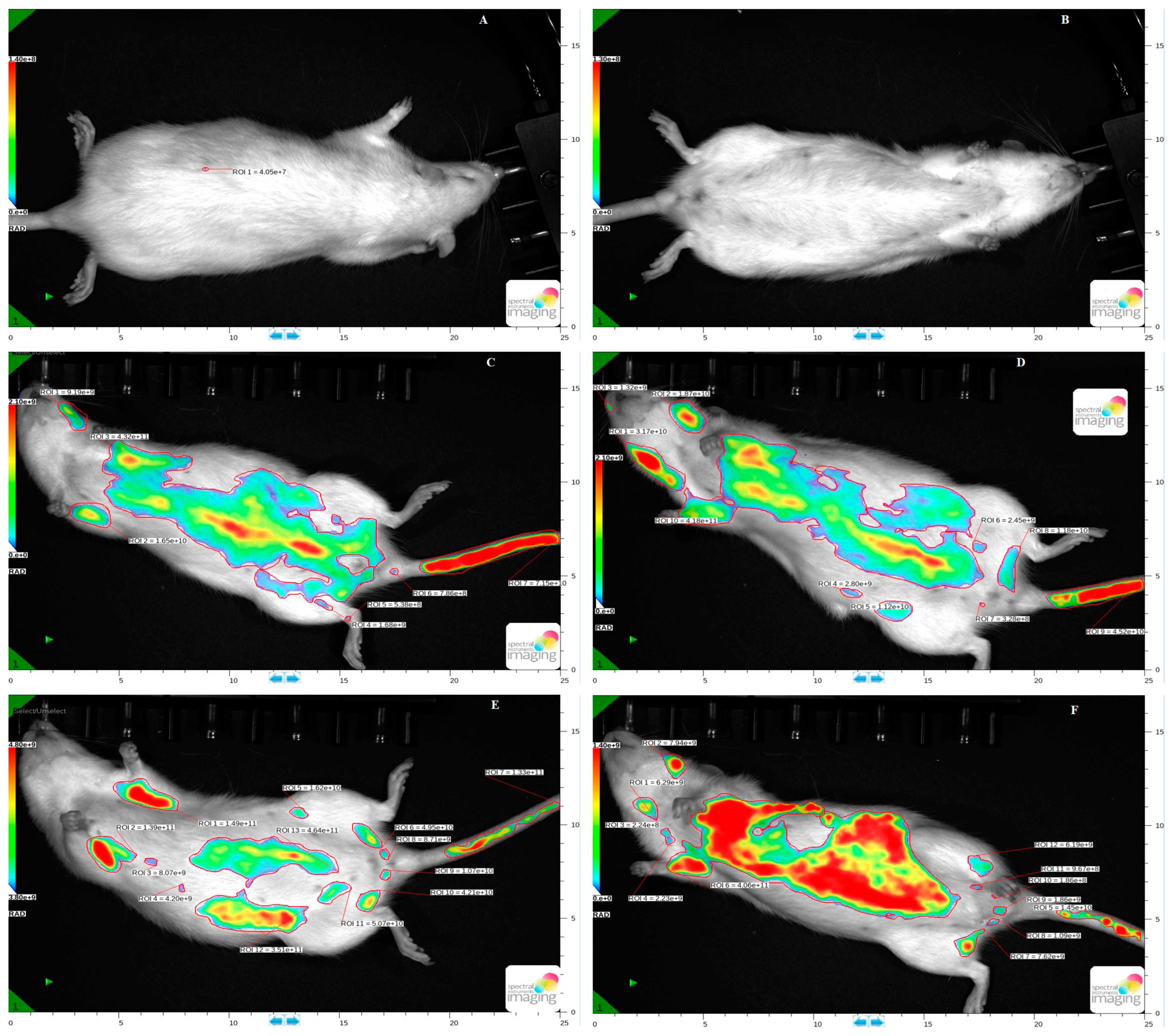 Pharmaceutics 17 00307 g006 Pharmaceutics 17 00307 g006