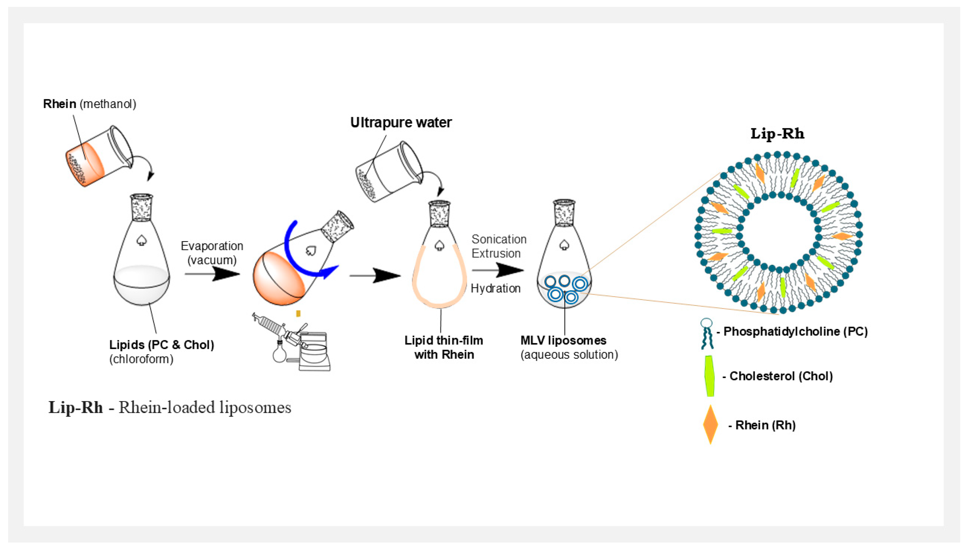 Pharmaceutics 17 00307 sch001 Pharmaceutics 17 00307 sch001