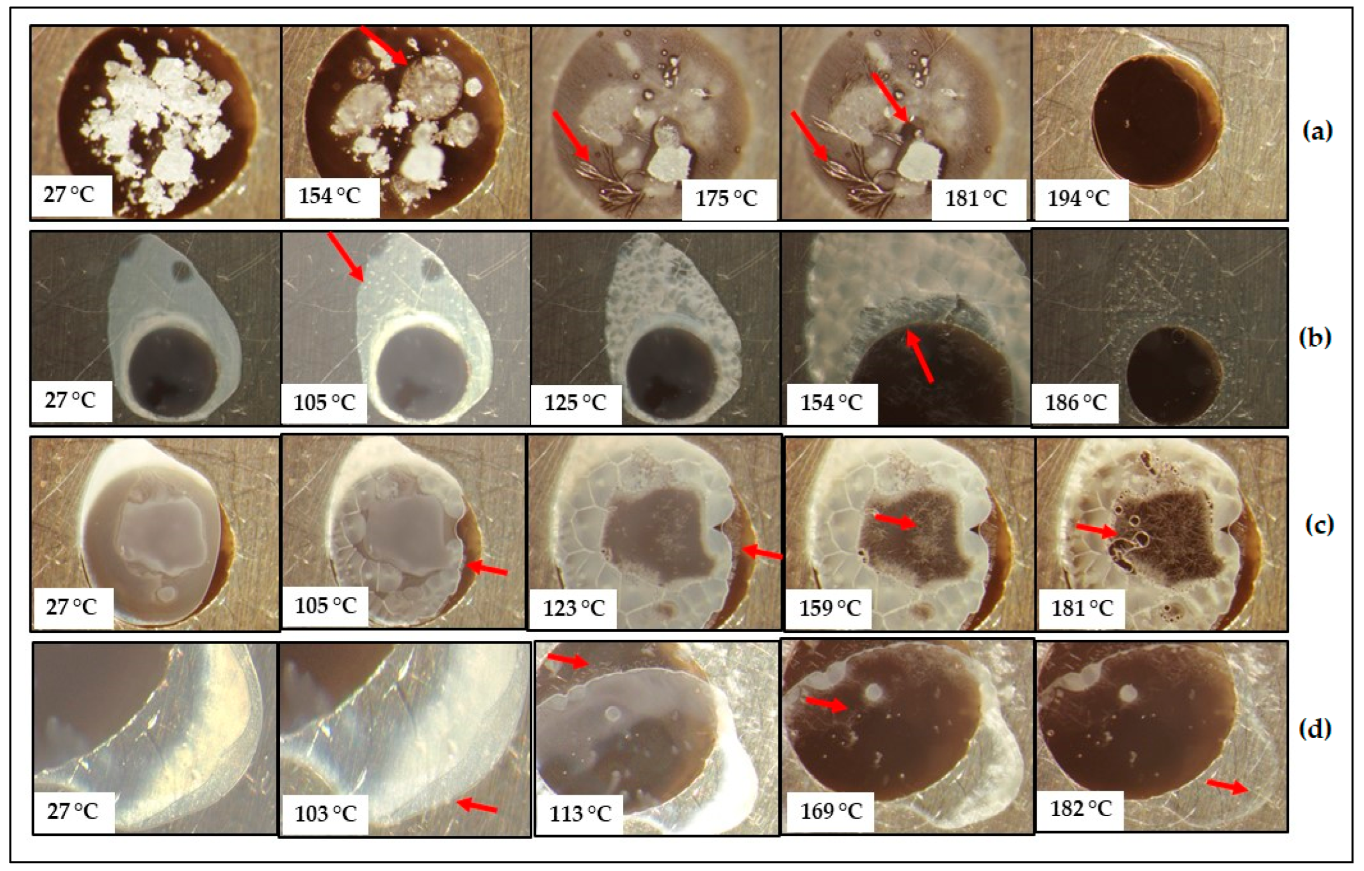 Pharmaceutics 17 00321 g003 Pharmaceutics 17 00321 g003