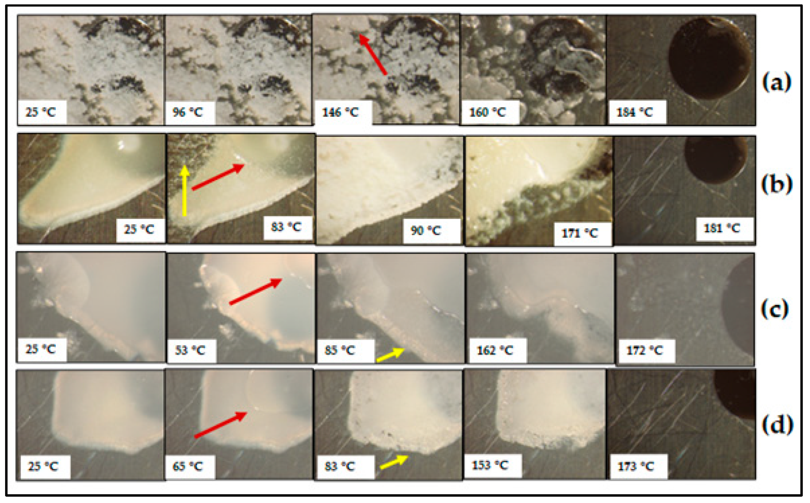 Pharmaceutics 17 00321 g012 Pharmaceutics 17 00321 g012