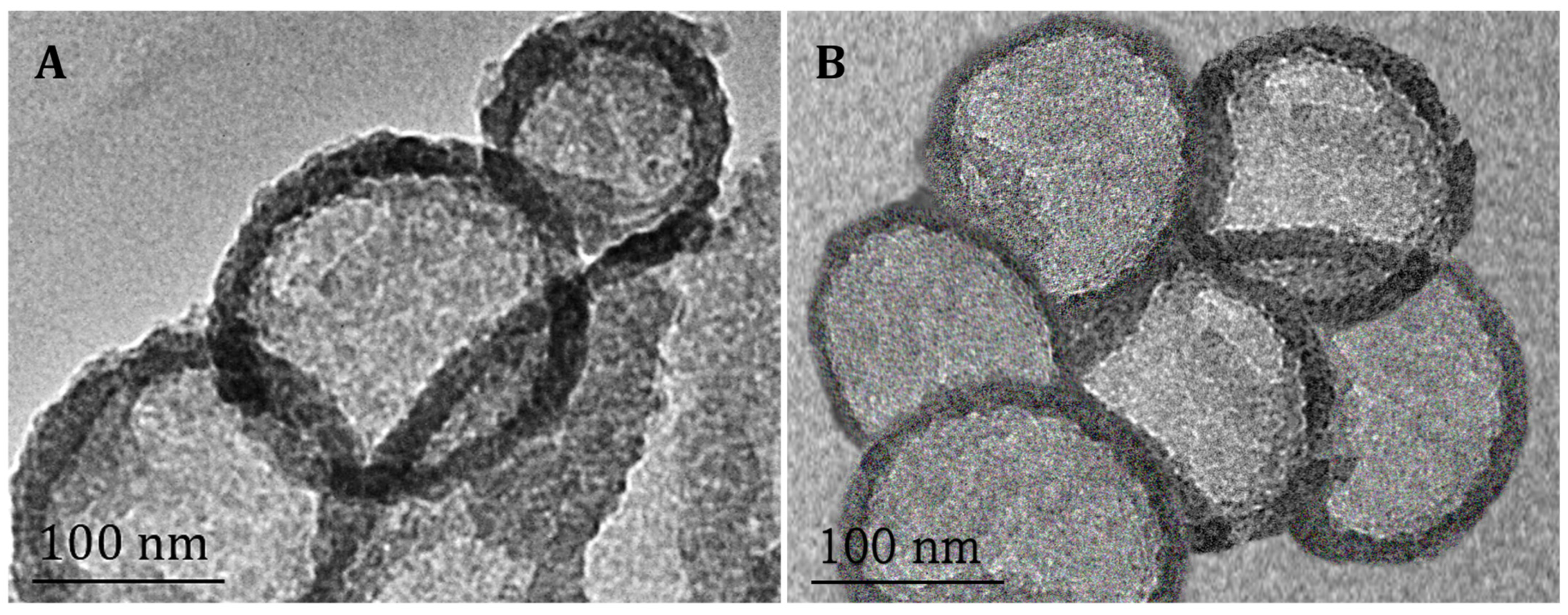 Pharmaceutics 17 00331 g002 Pharmaceutics 17 00331 g002