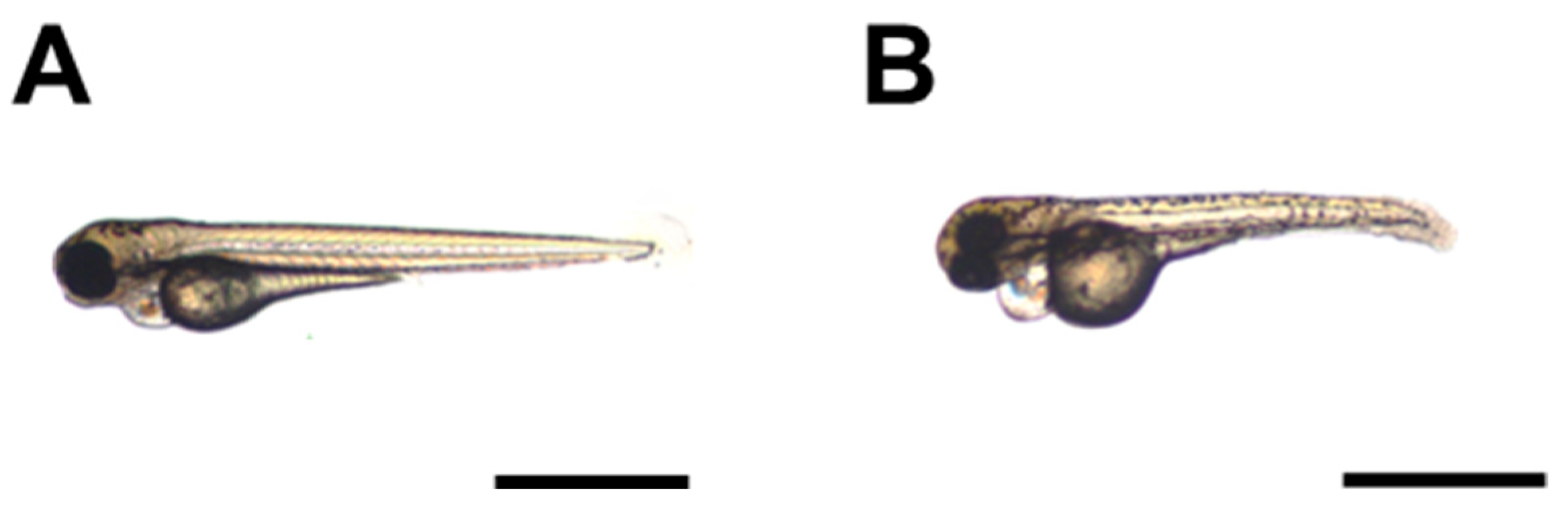 Pharmaceutics 17 00335 g009