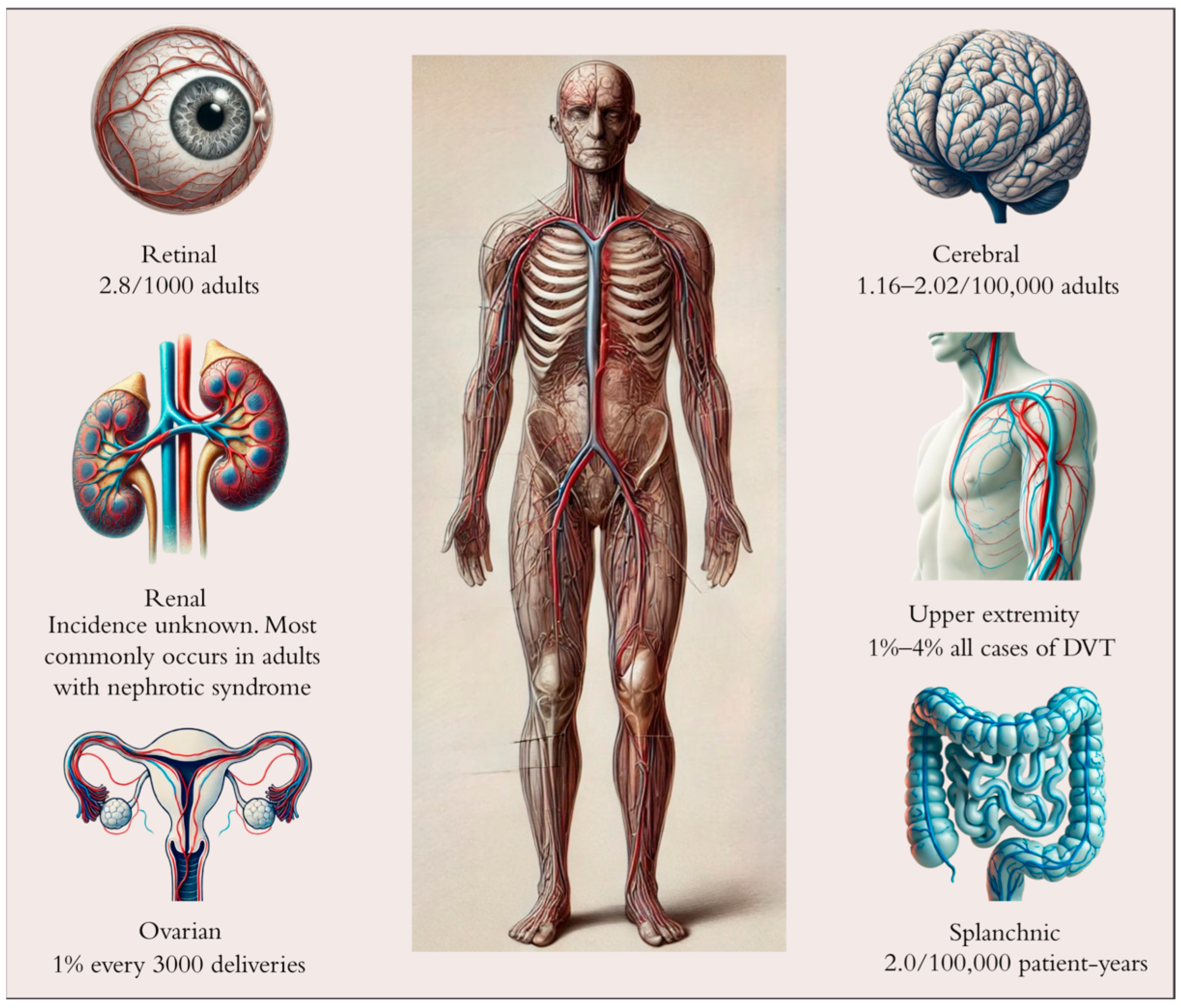 Pharmaceutics 17 00342 g001 Pharmaceutics 17 00342 g001