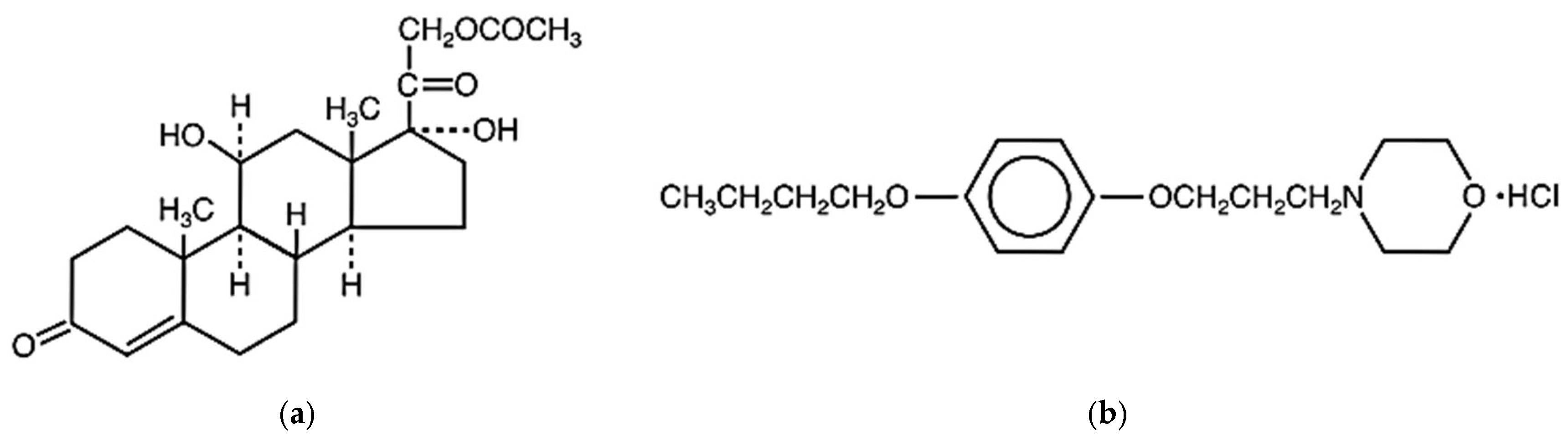Pharmaceutics 17 00348 g001