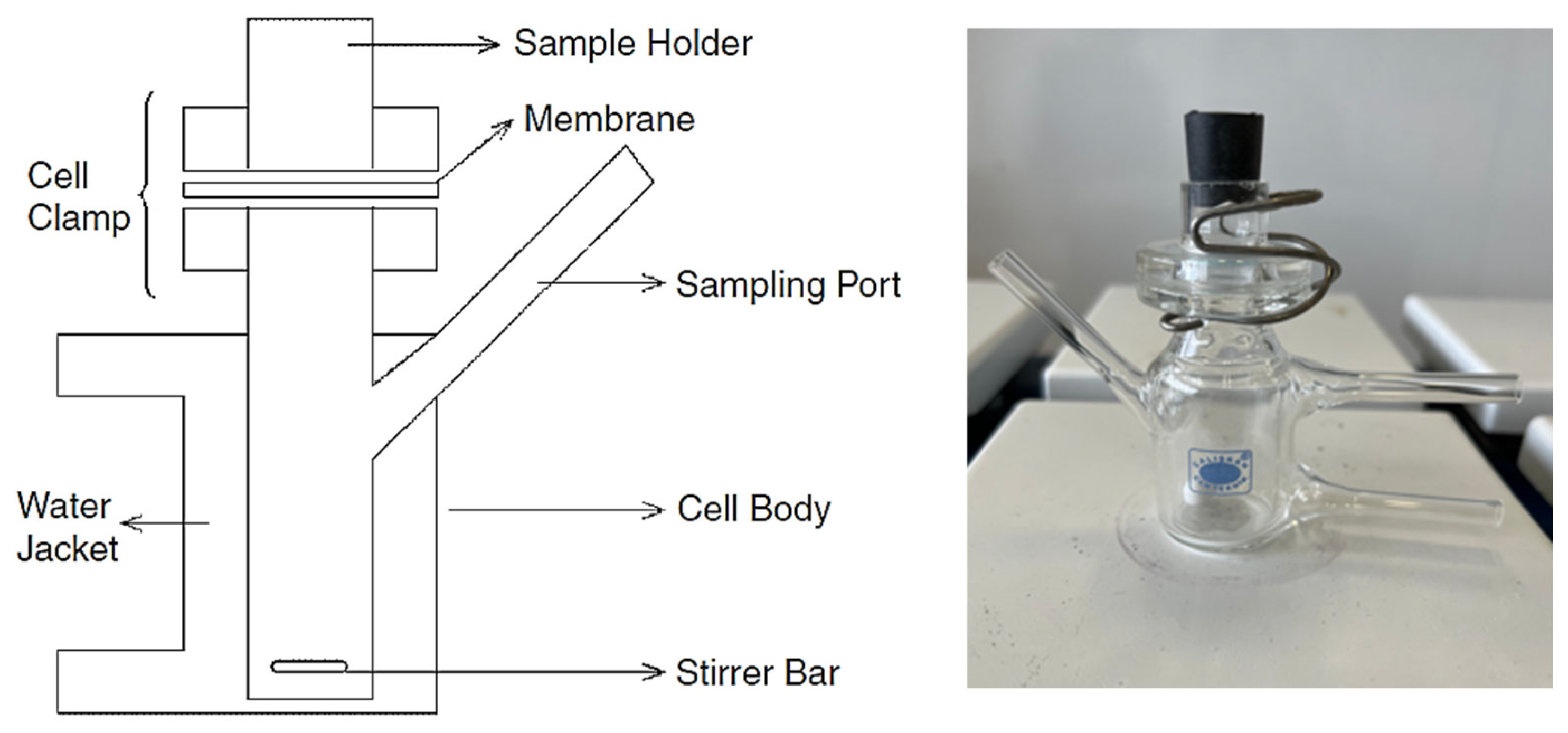 Pharmaceutics 17 00348 g003