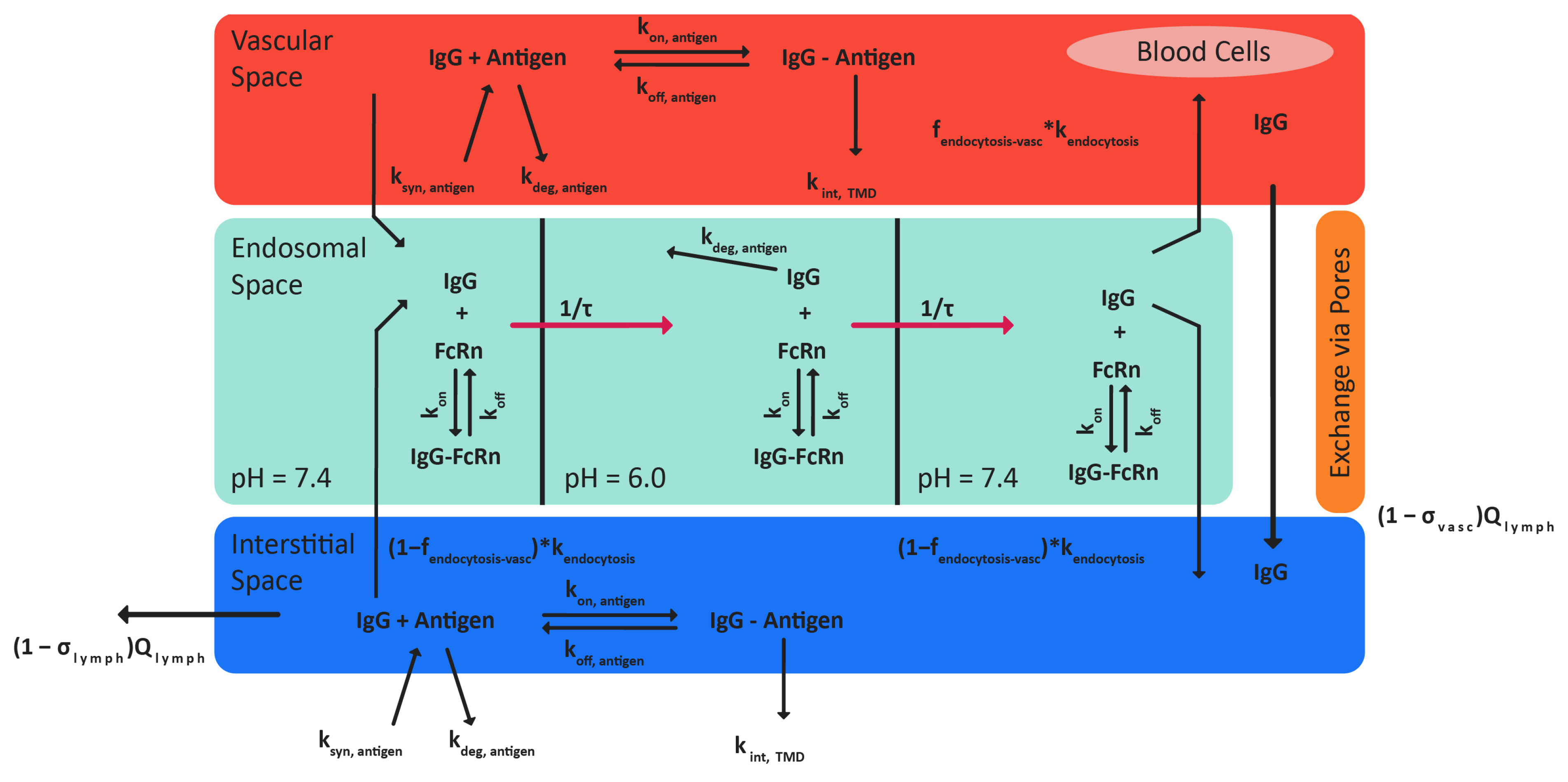 Pharmaceutics 17 00372 g001