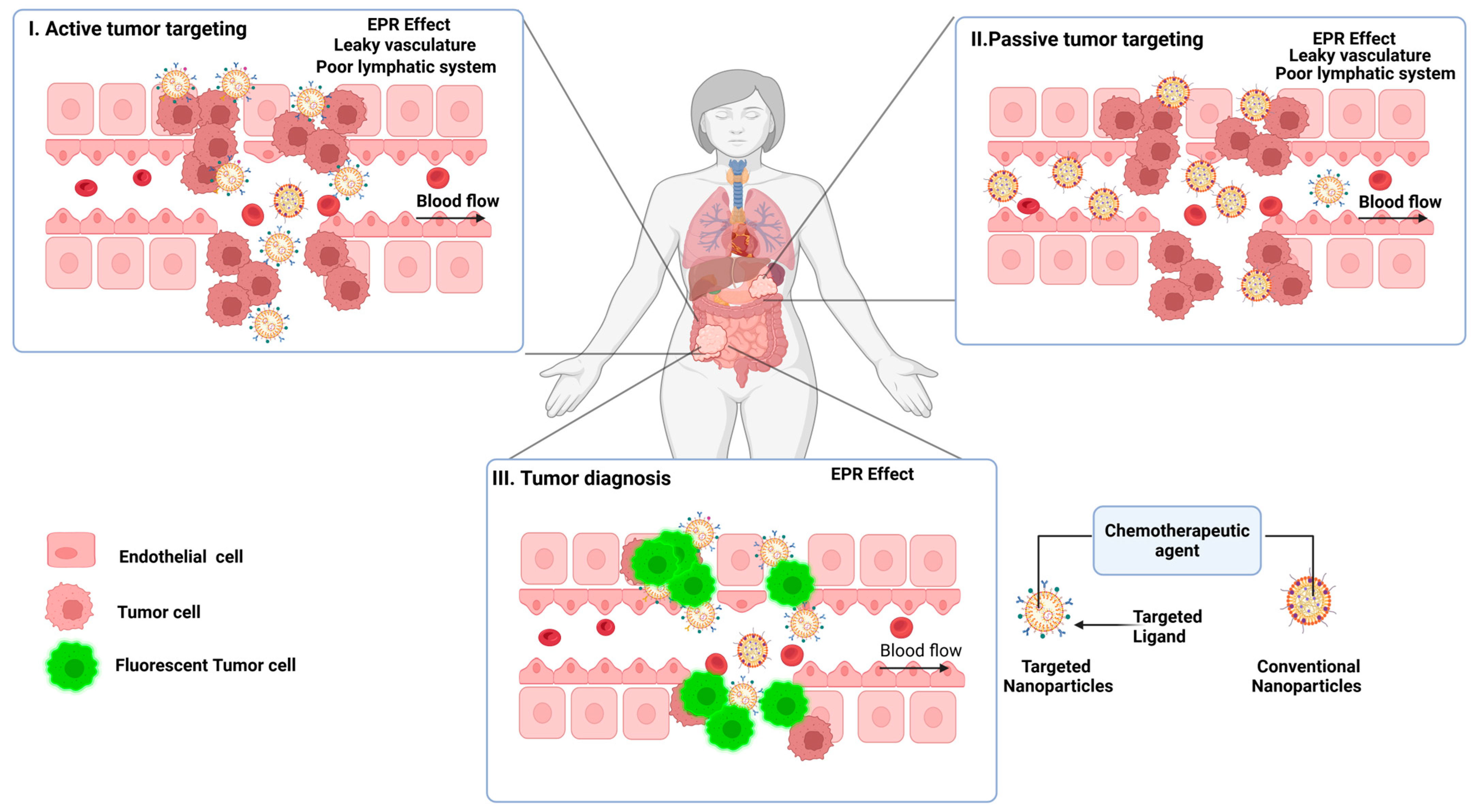 Pharmaceutics 17 00375 g002 Pharmaceutics 17 00375 g002
