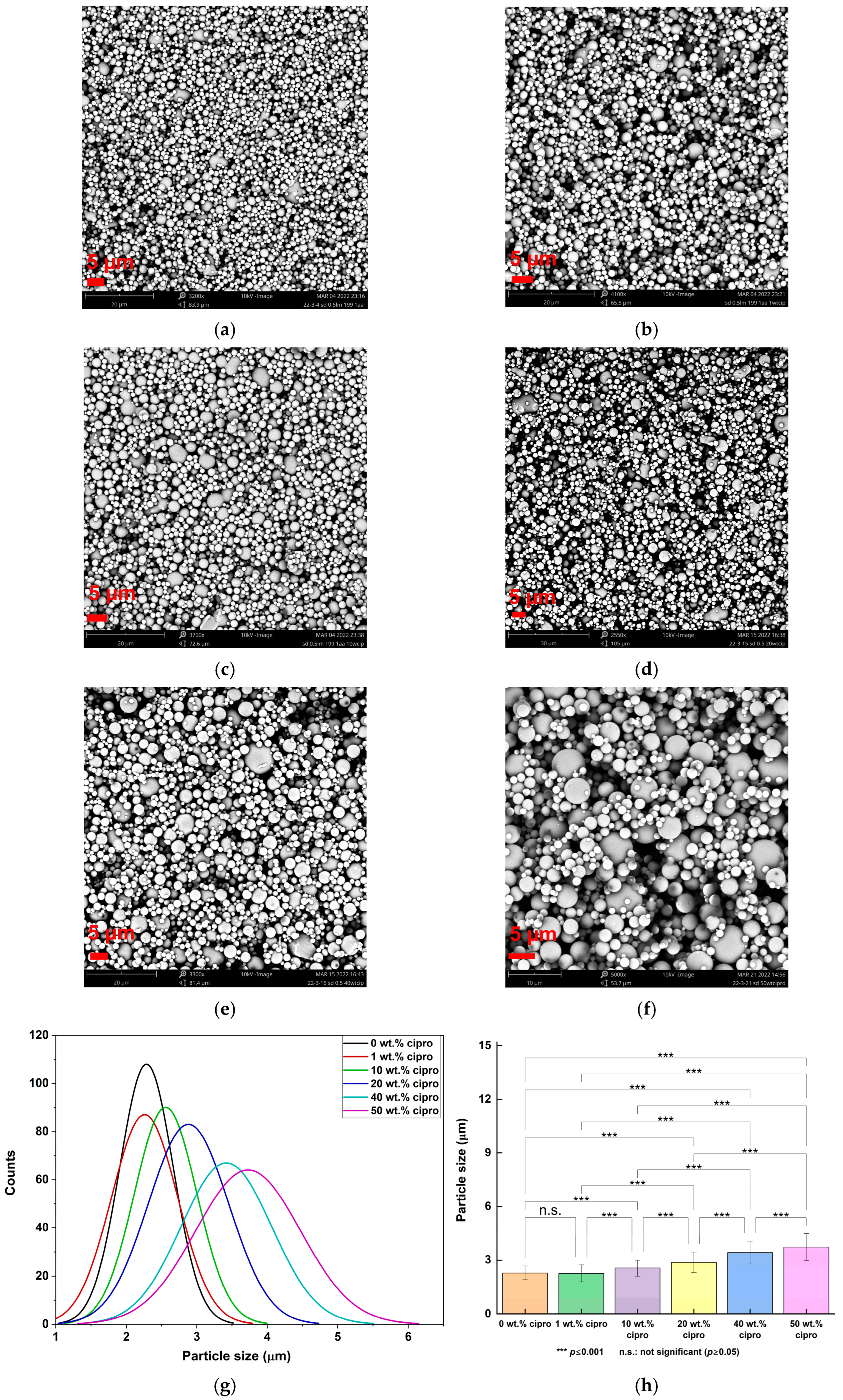 Pharmaceutics 17 00392 g002 Pharmaceutics 17 00392 g002