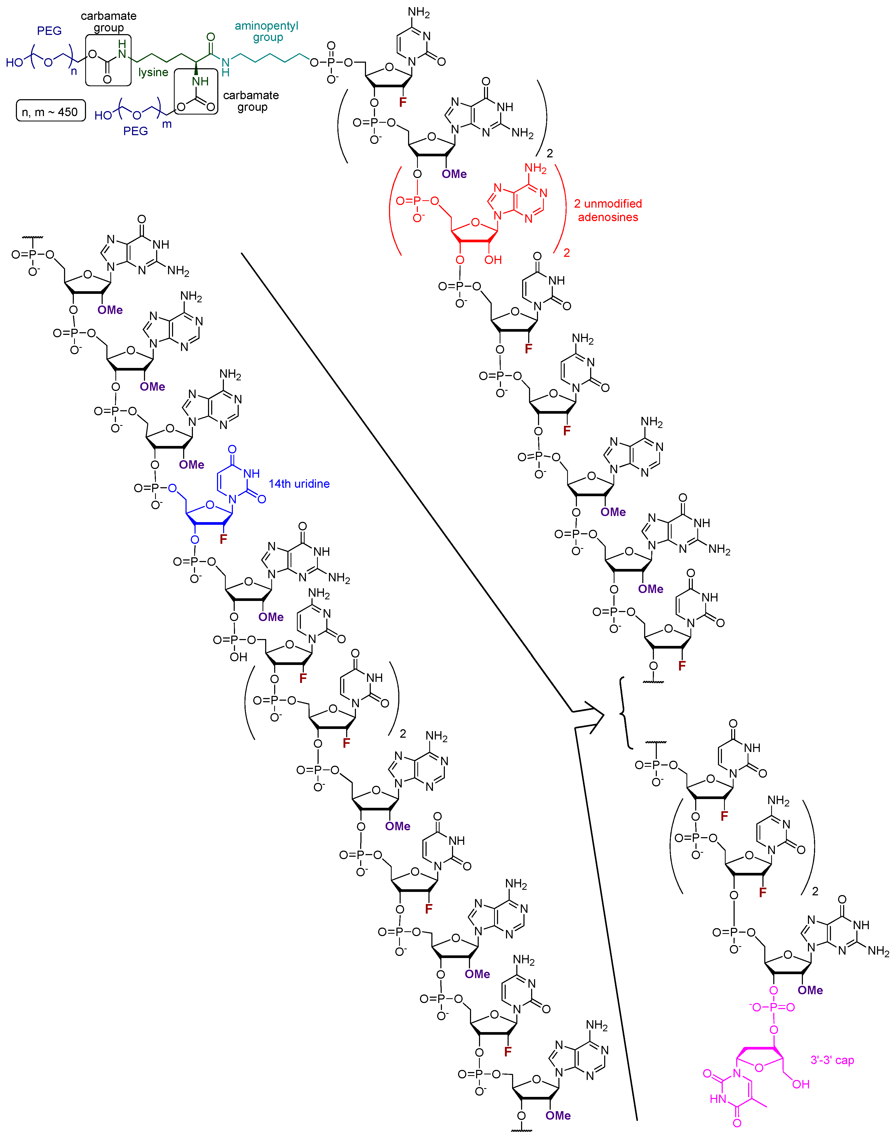 Pharmaceutics 17 00394 g002