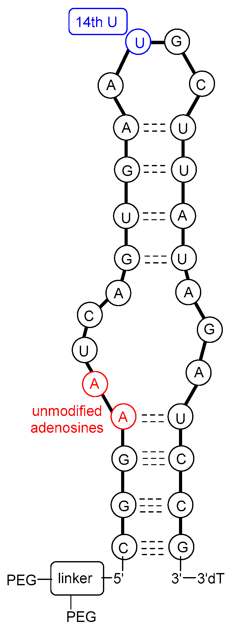 Pharmaceutics 17 00394 g003