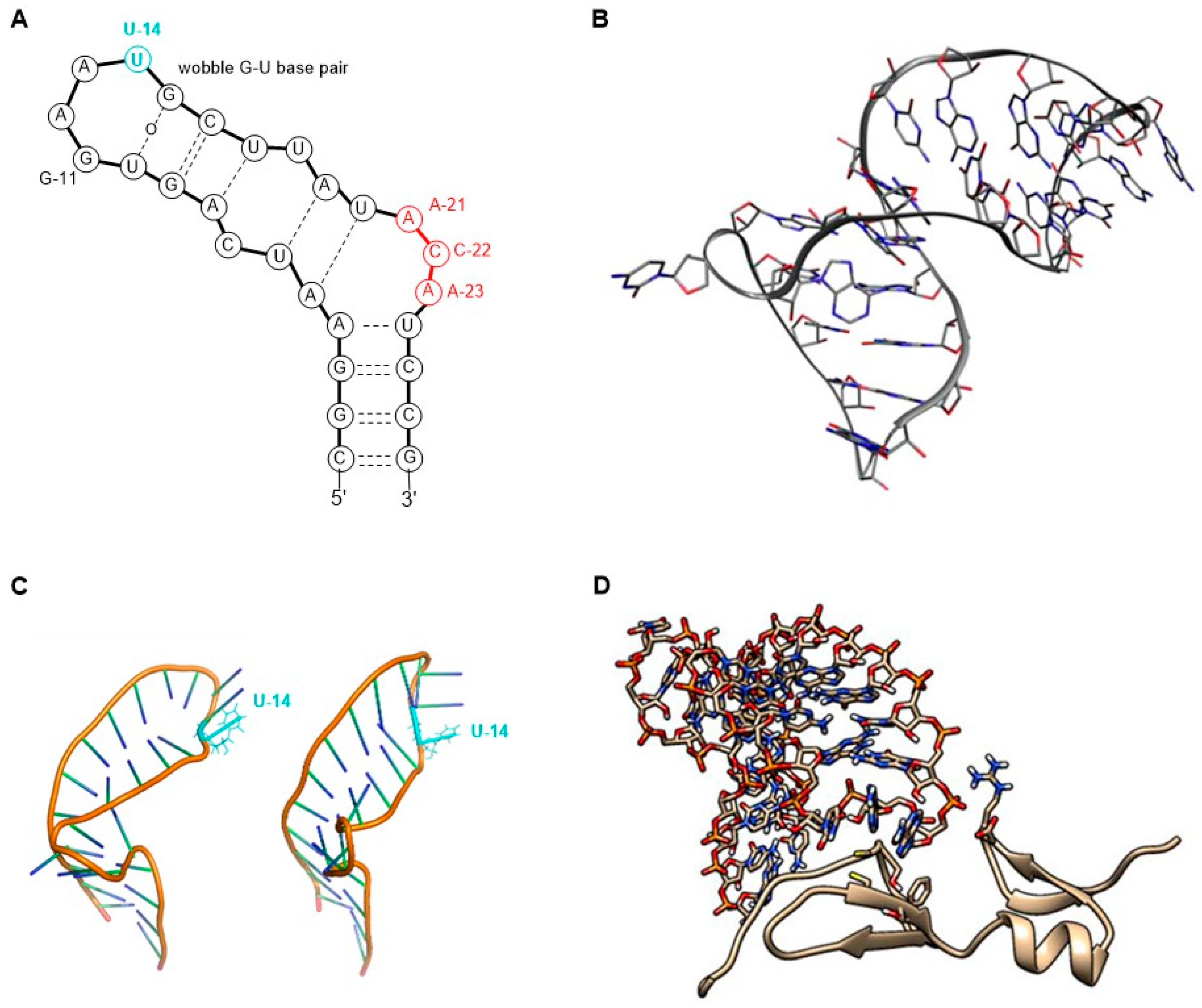 Pharmaceutics 17 00394 g006