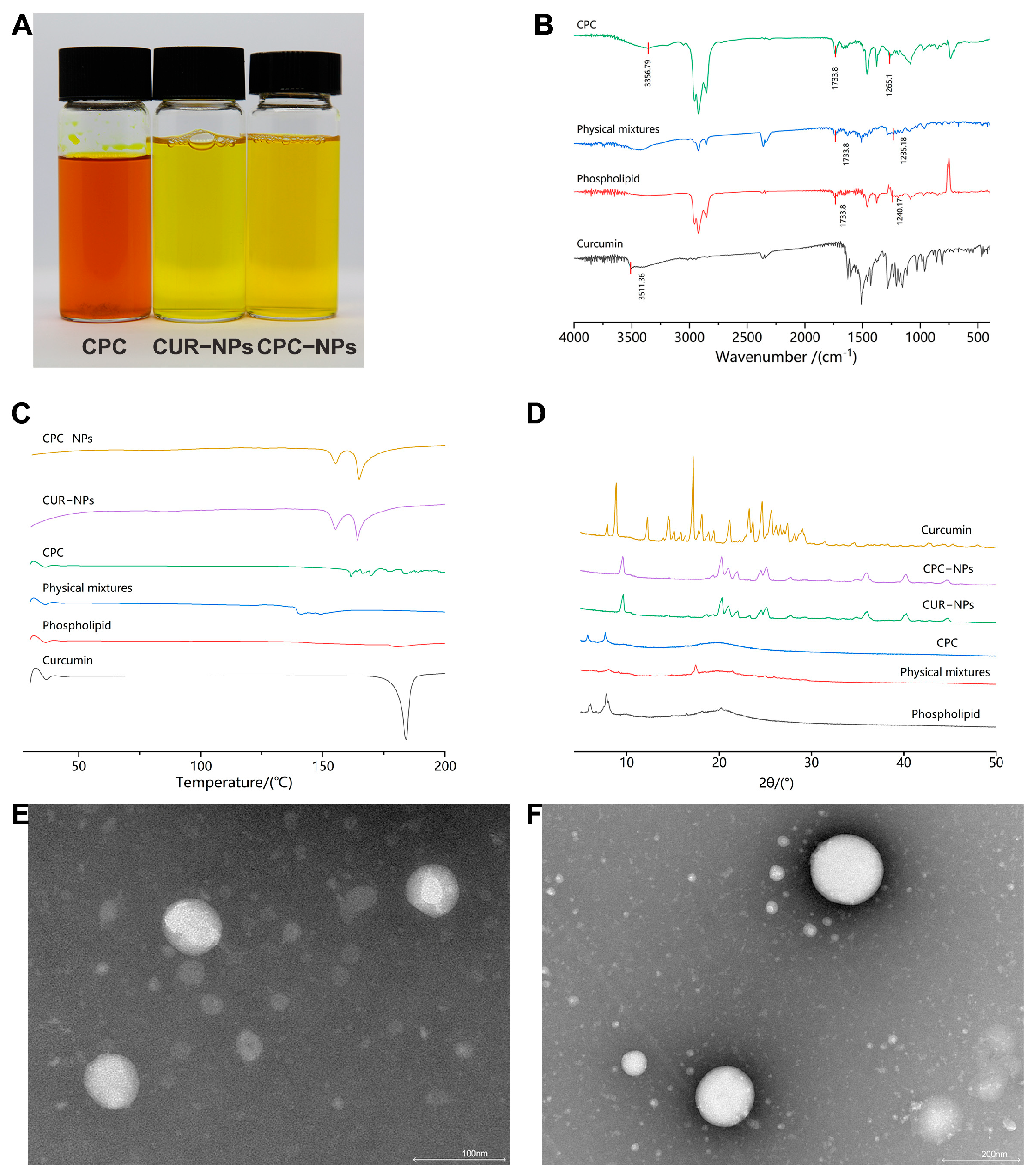 Pharmaceutics 17 00395 g006
