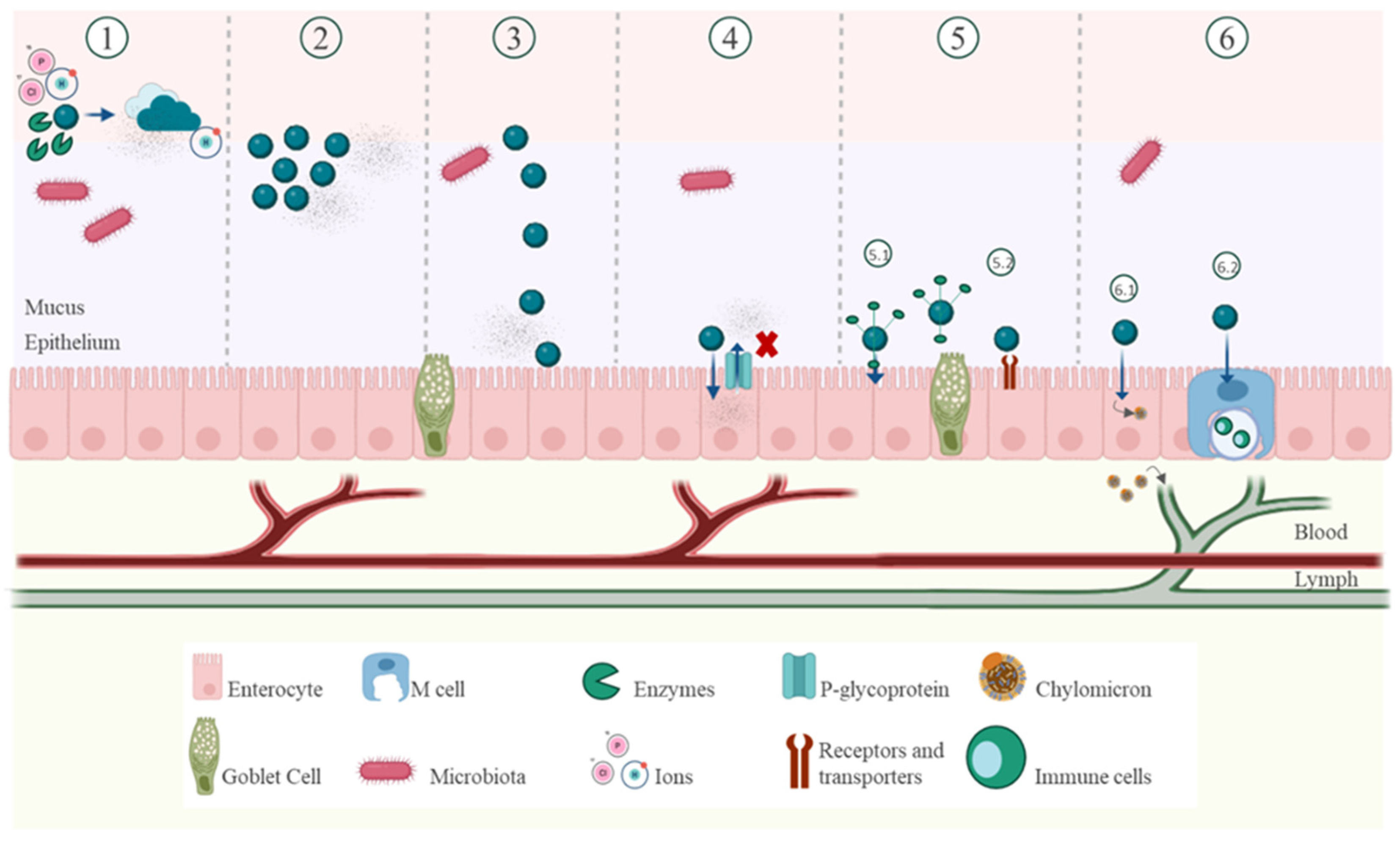 Pharmaceutics 17 00397 g002