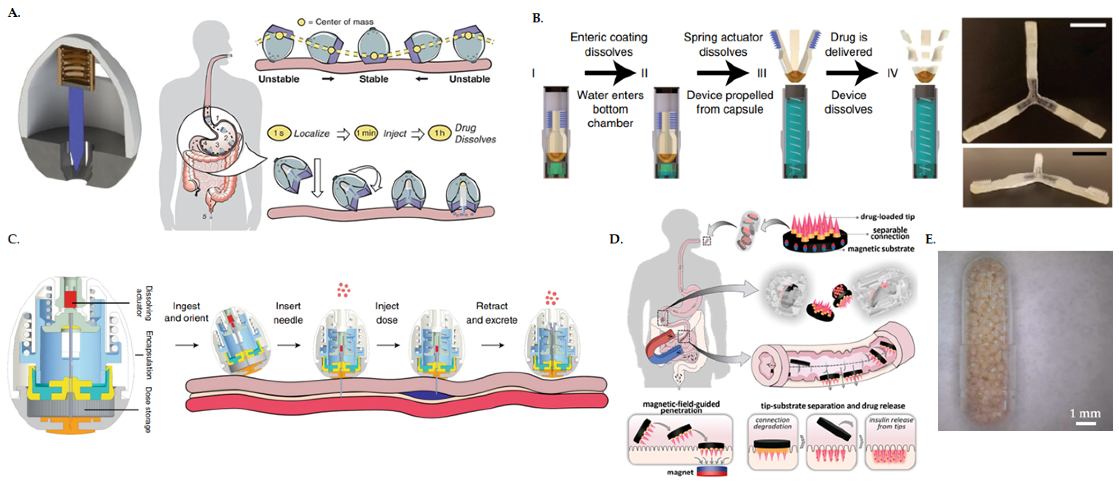 Pharmaceutics 17 00397 g005