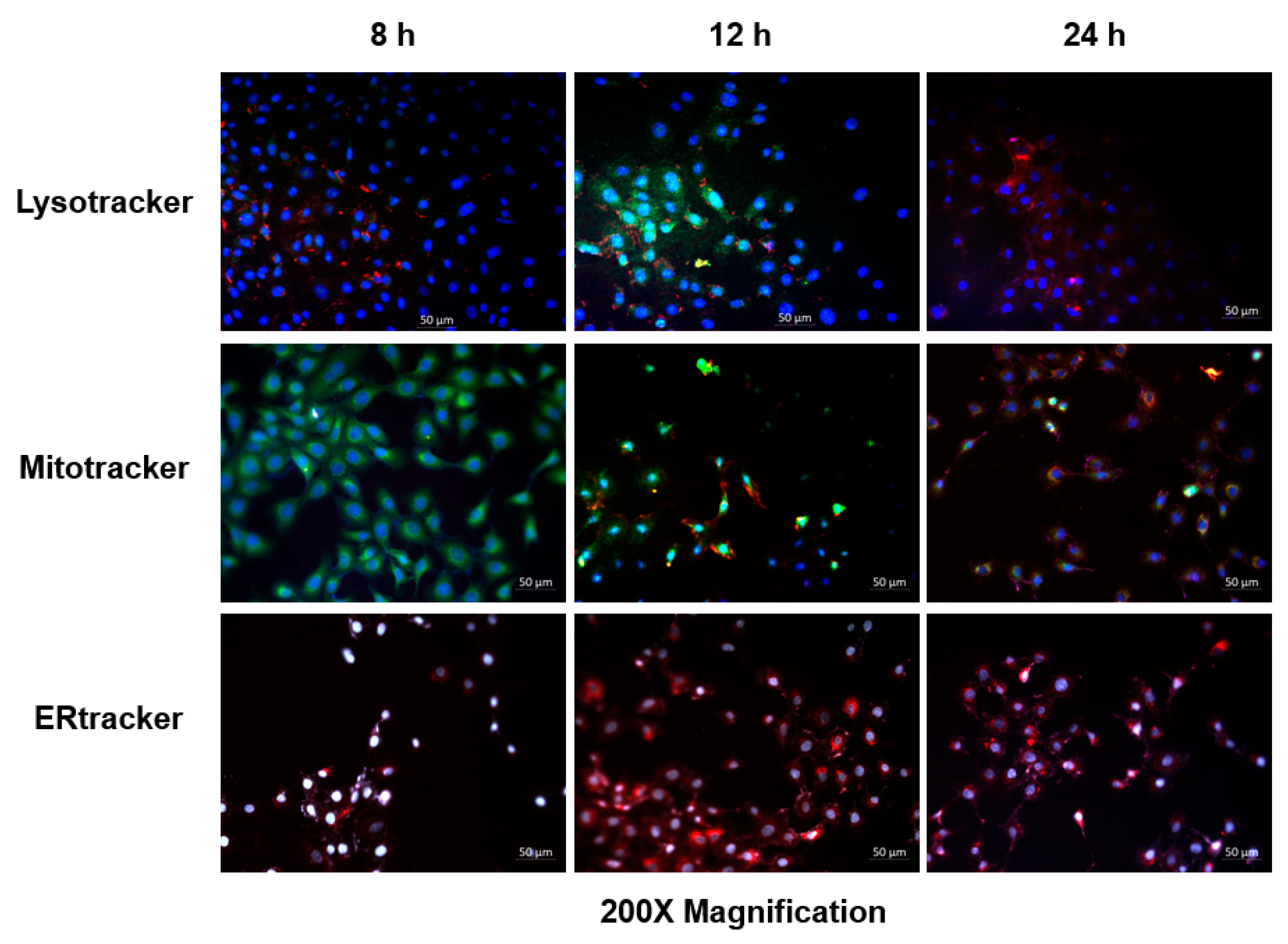 Pharmaceutics 17 00402 g004
