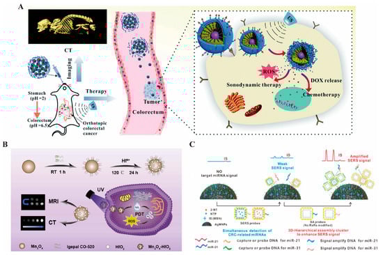 Pharmaceutics 17 00409 g002