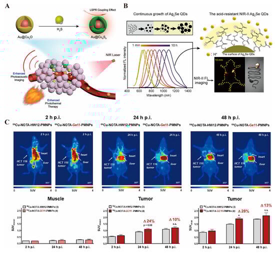 Pharmaceutics 17 00409 g003