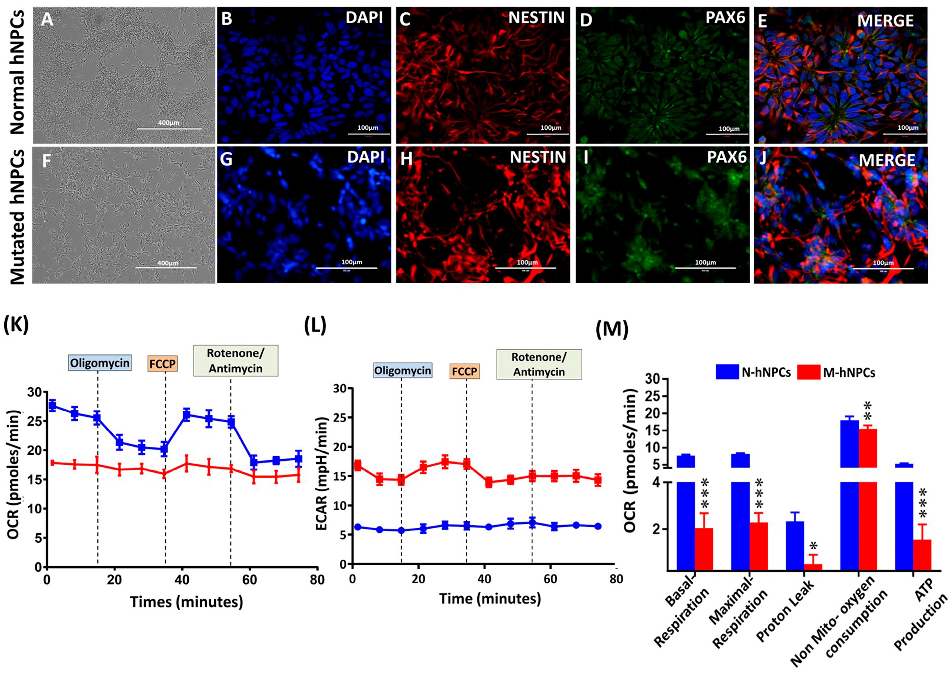 Pharmaceutics 17 00410 g002