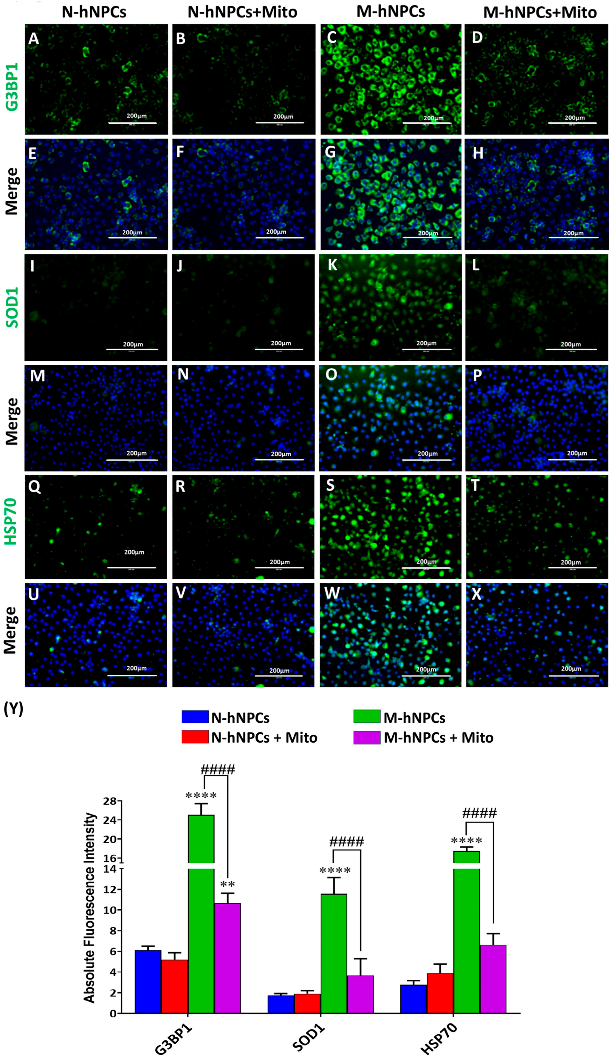 Pharmaceutics 17 00410 g007