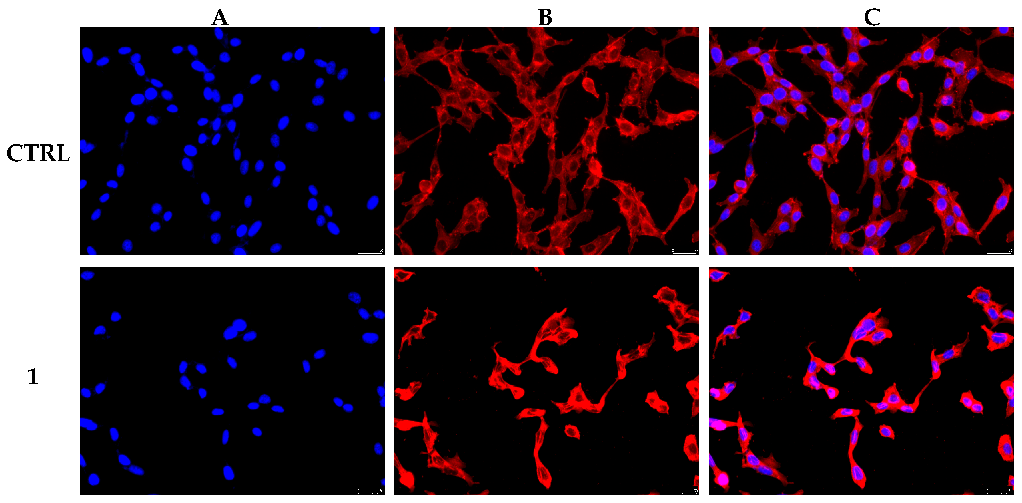 Pharmaceutics 17 00415 g008