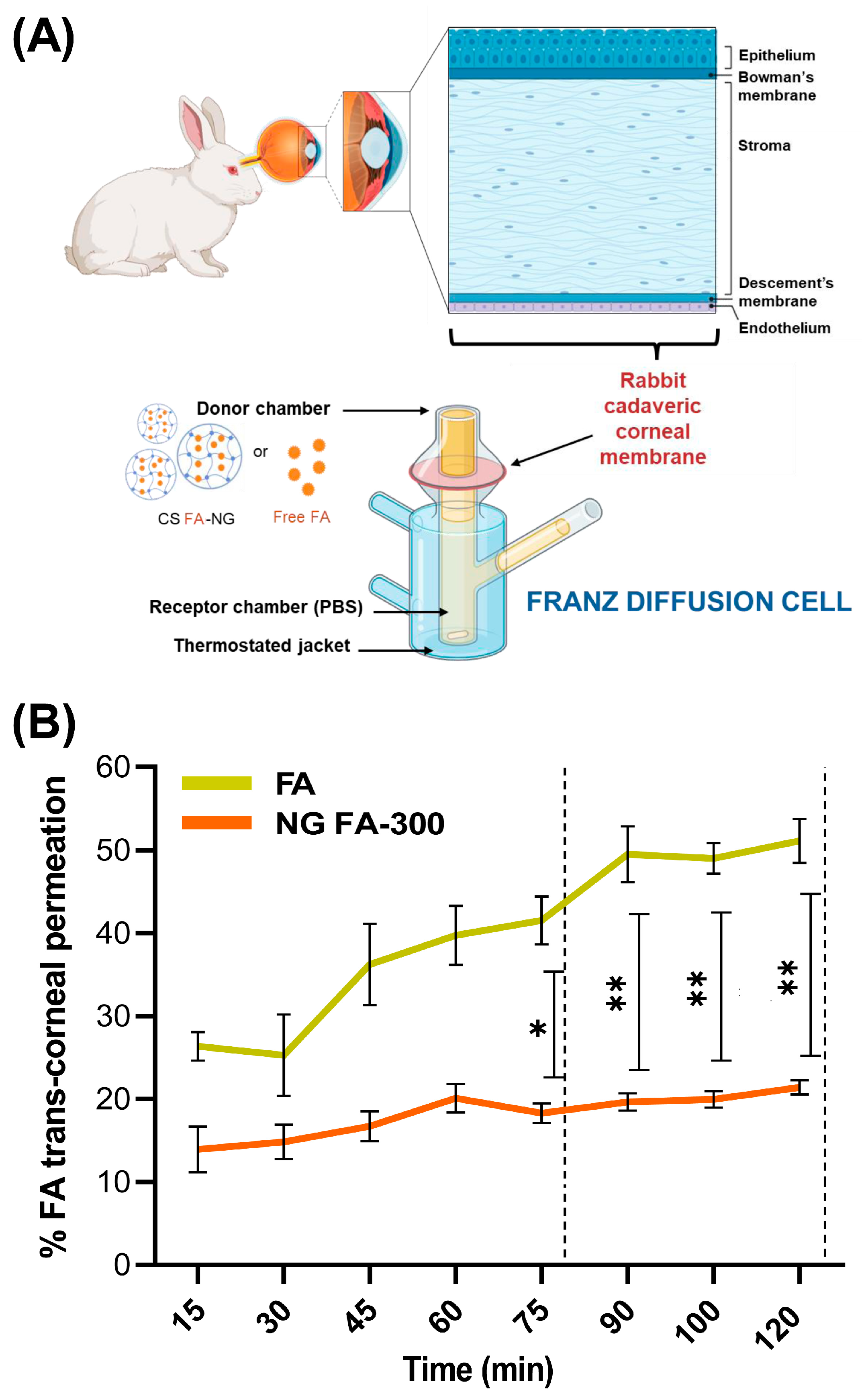 Pharmaceutics 17 00424 g007
