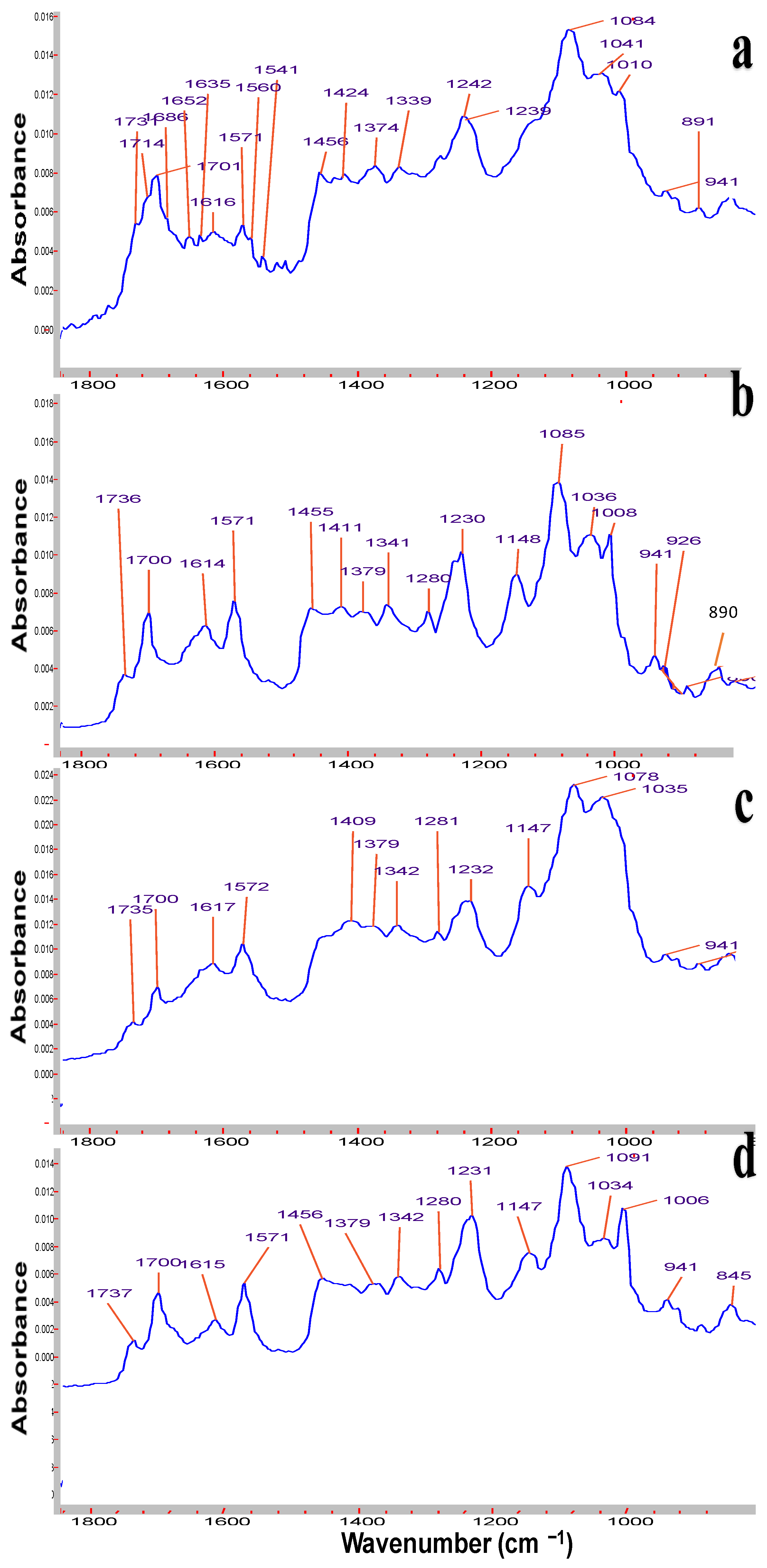 Pharmaceutics 17 00430 g001