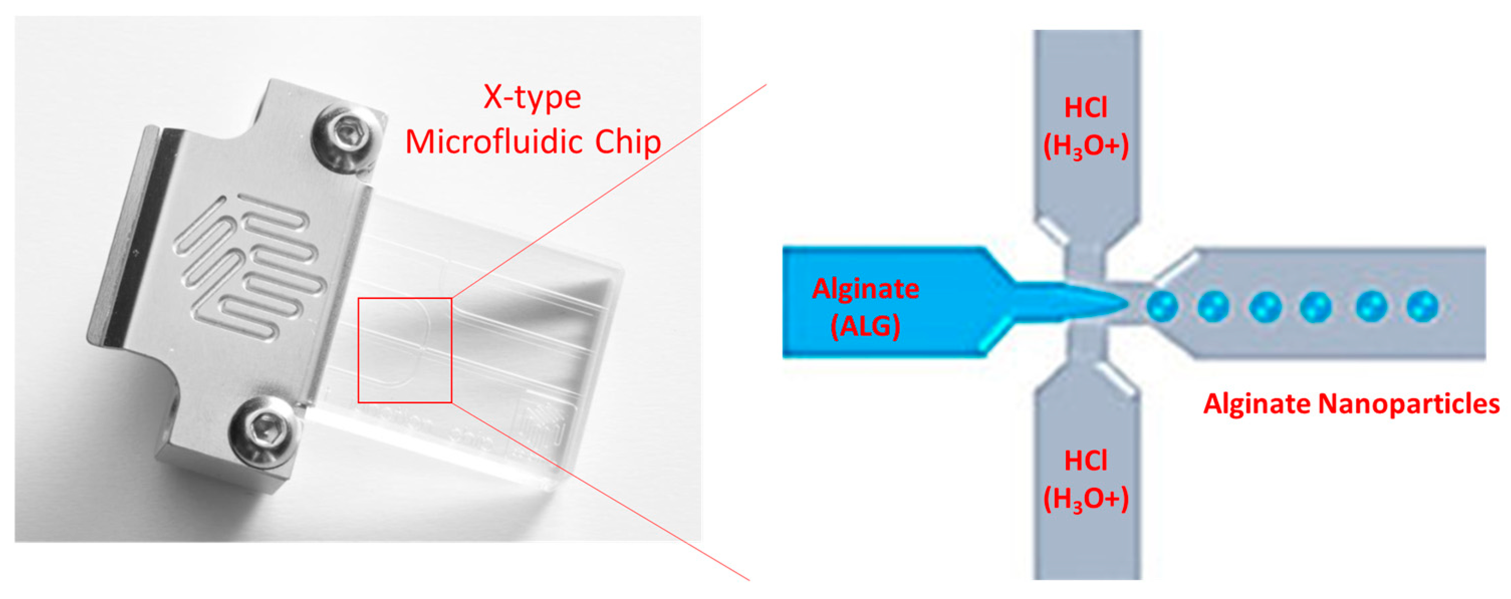 Pharmaceutics 17 00438 g001 Pharmaceutics 17 00438 g001