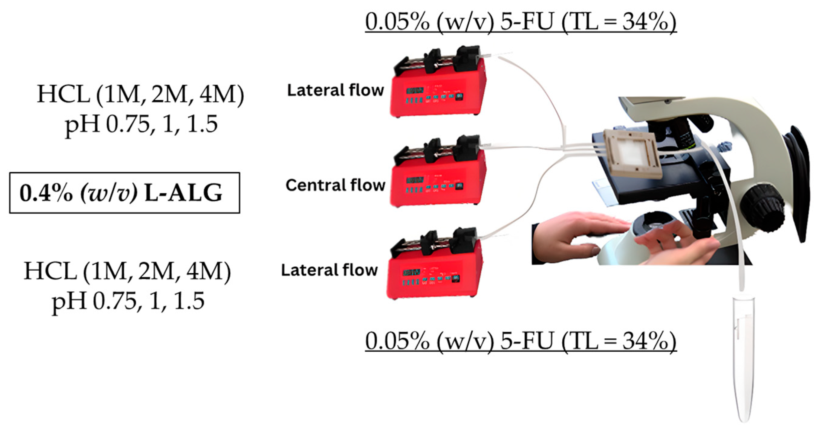 Pharmaceutics 17 00438 g008 Pharmaceutics 17 00438 g008