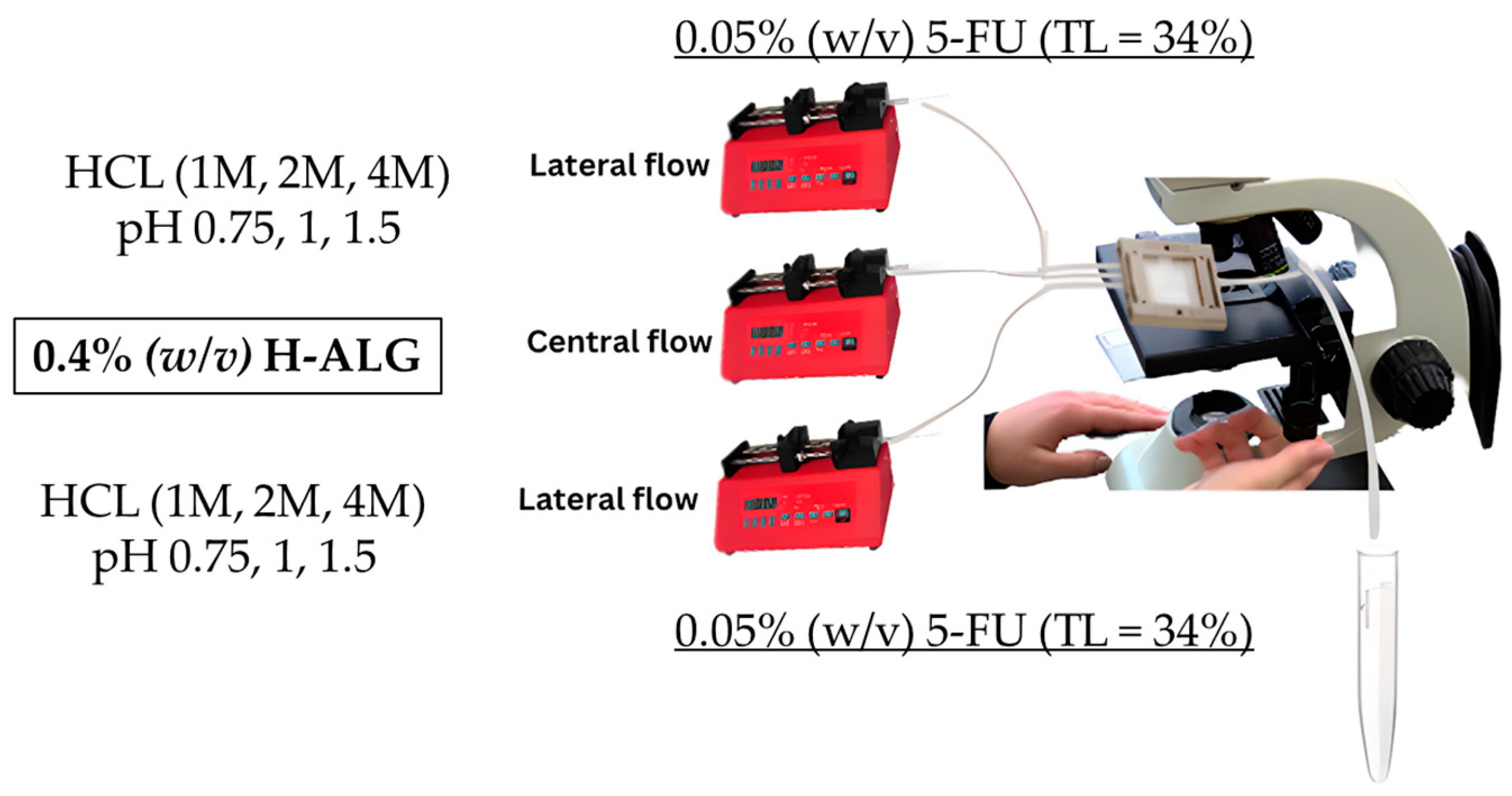 Pharmaceutics 17 00438 g009 Pharmaceutics 17 00438 g009