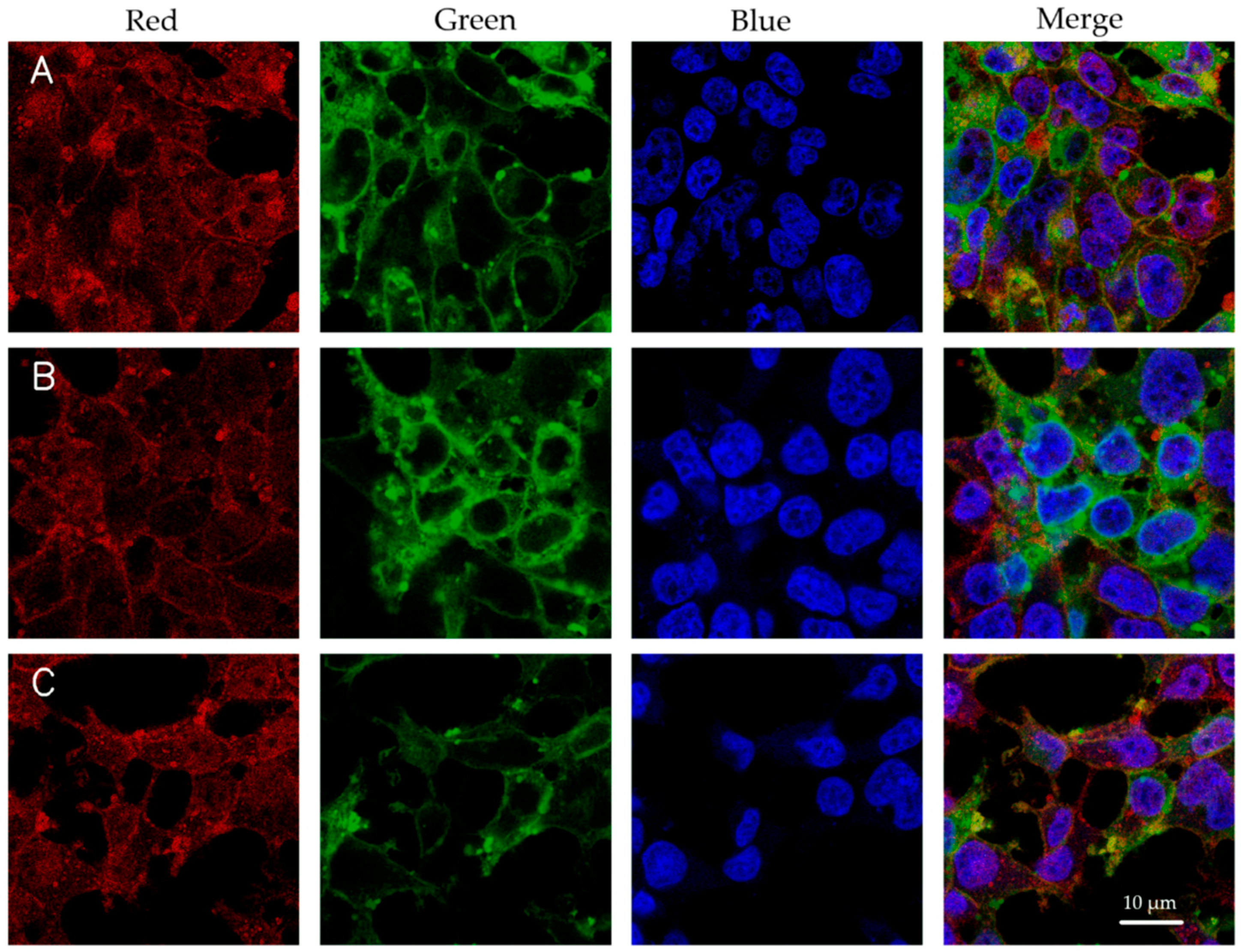 Pharmaceutics 17 00454 g003