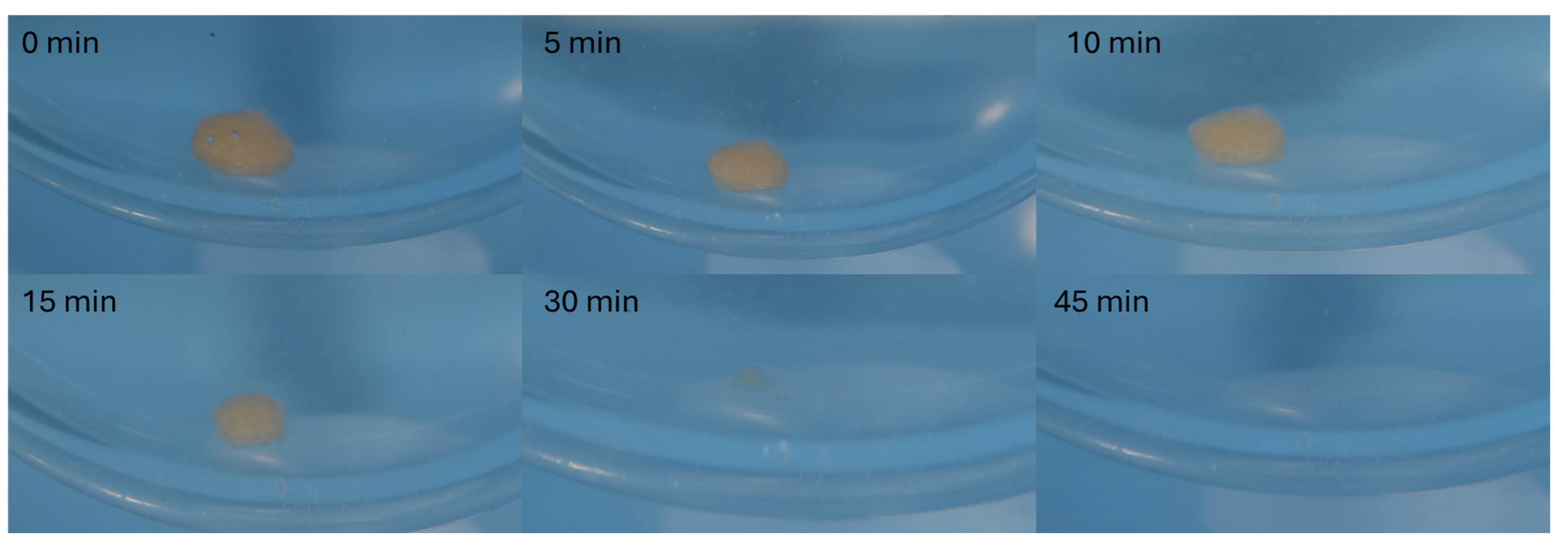 Pharmaceutics 17 00458 g007
