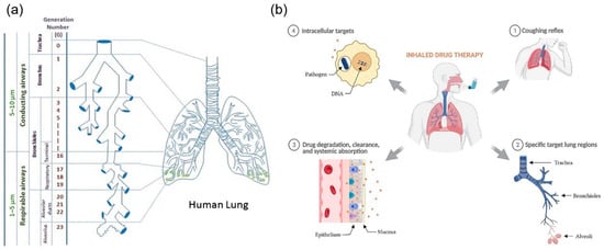 Pharmaceutics 17 00470 g002