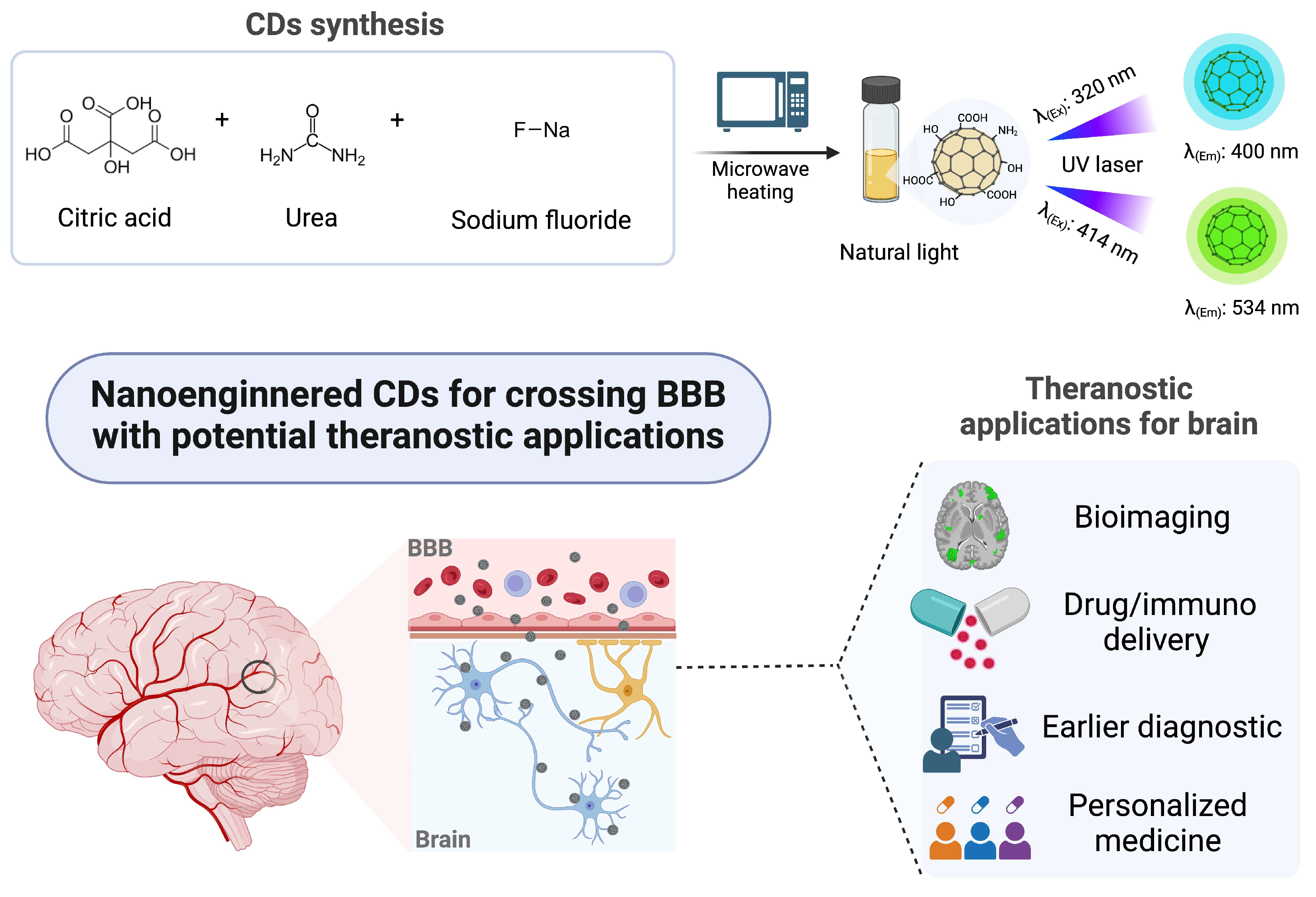 Pharmaceutics 17 00477 g001
