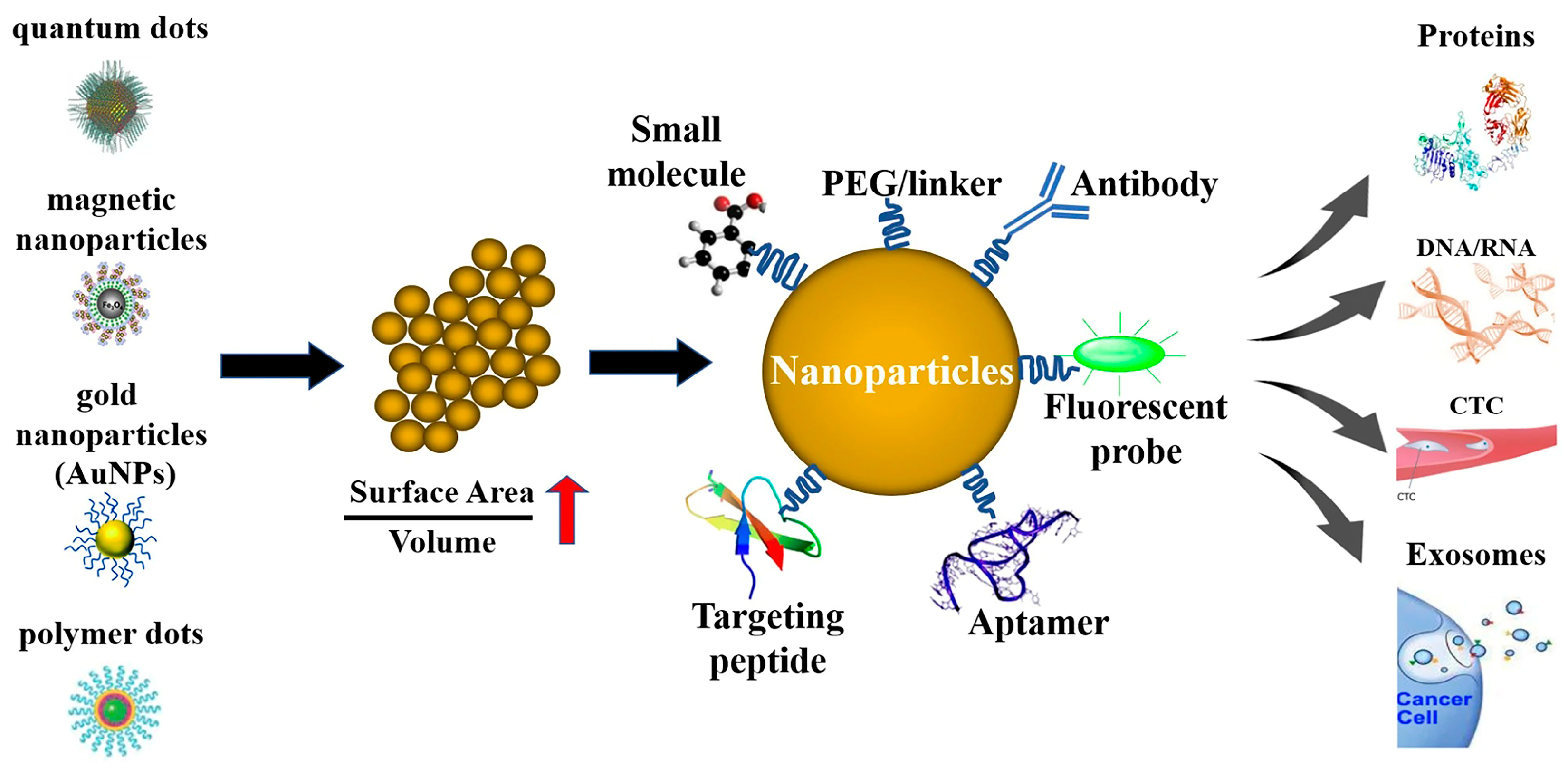 Pharmaceutics 17 00479 g001 Pharmaceutics 17 00479 g001