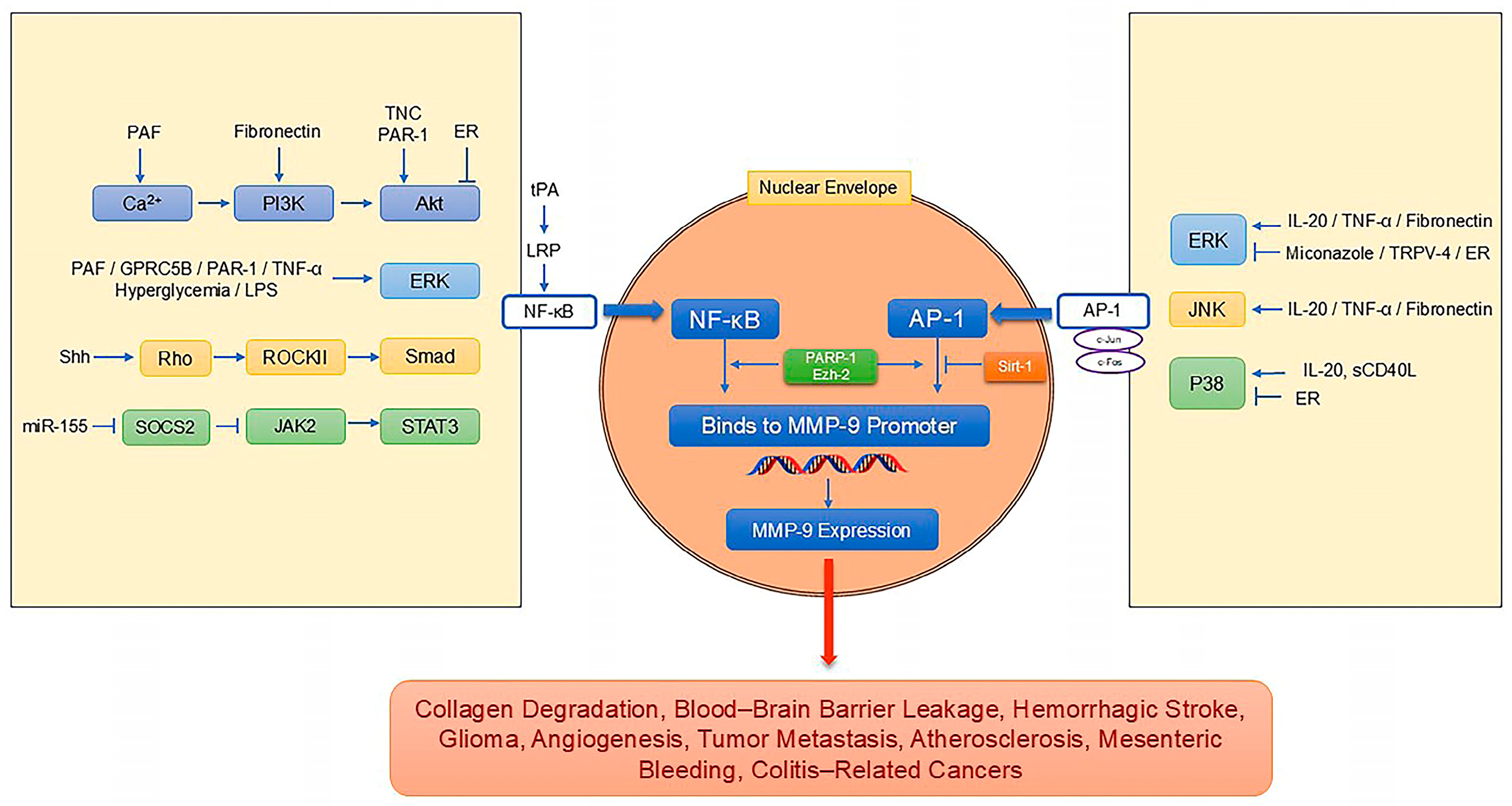 Pharmaceutics 17 00479 g002 Pharmaceutics 17 00479 g002